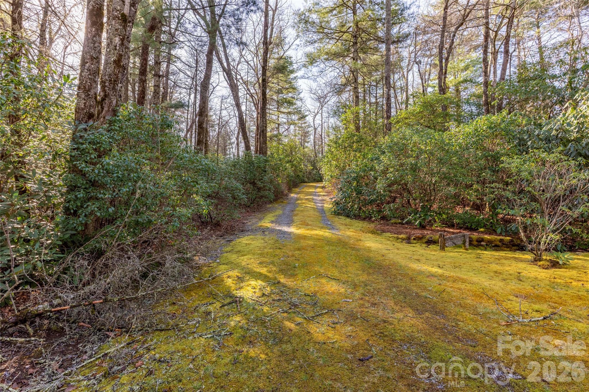 Lot at TRP 1 Cardinal Drive W, Lake Toxaway, photo 7 of 13