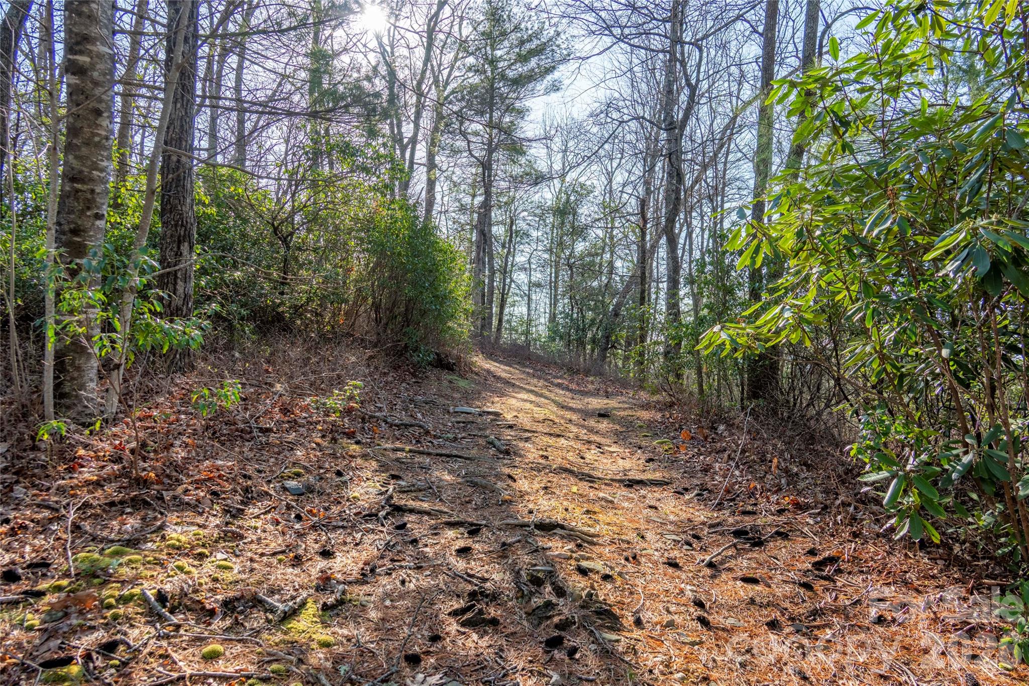 Lot at TRP 1 Cardinal Drive W, Lake Toxaway, photo 8 of 13