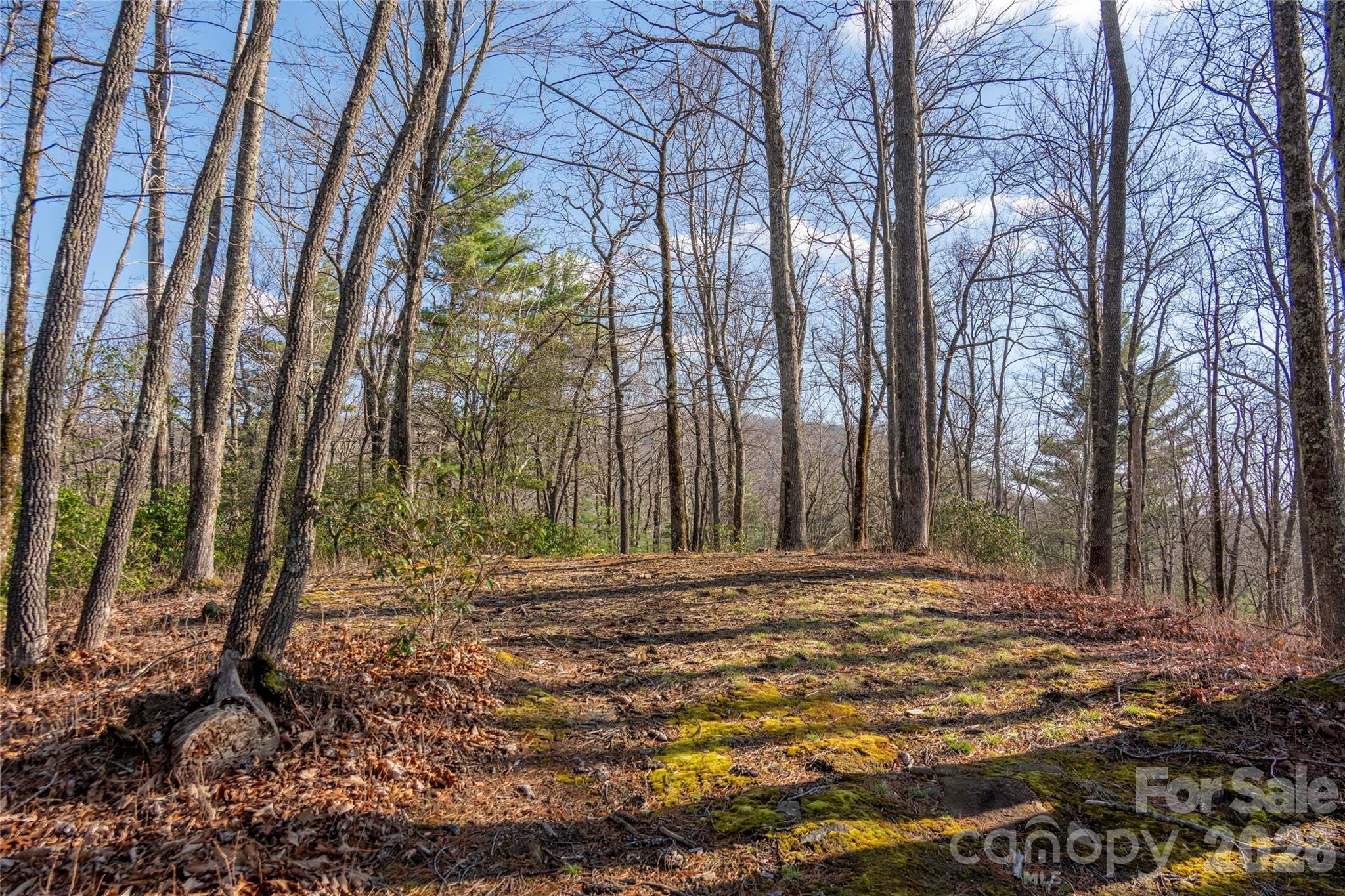 Lot at TRP 1 Cardinal Drive W, Lake Toxaway, photo 9 of 13