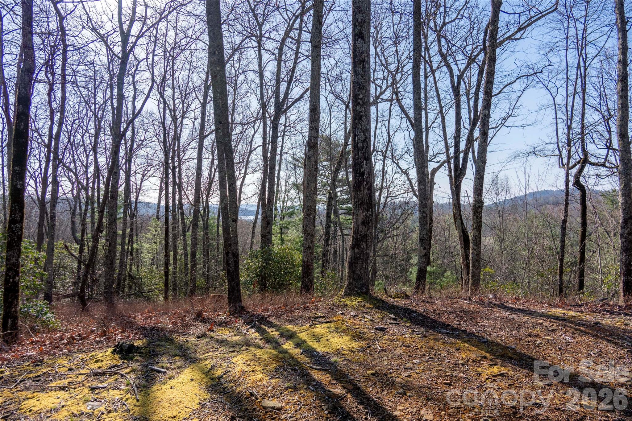 Lot at TRP 1 Cardinal Drive W, Lake Toxaway, photo 11 of 13