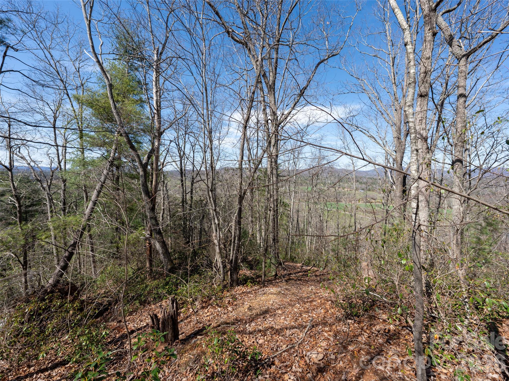 Lot at 99999 Okoboji Drive, Fletcher, photo 4 of 22