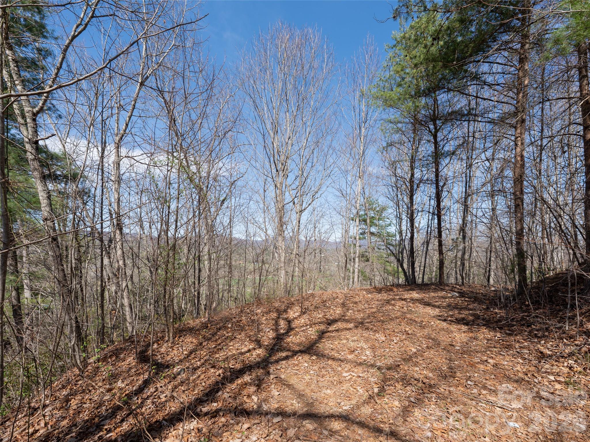 Lot at 99999 Okoboji Drive, Fletcher, photo 6 of 22