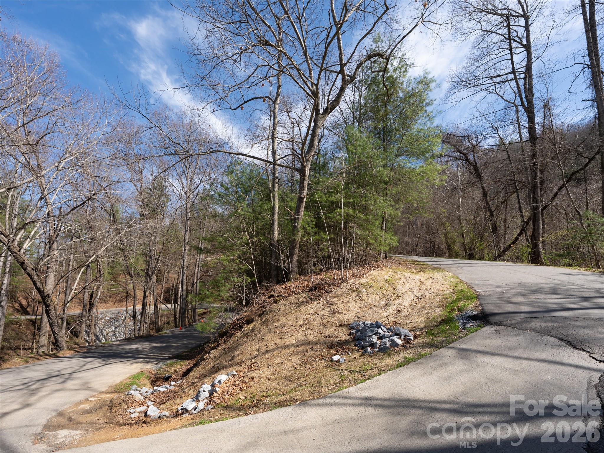 Lot at 99999 Okoboji Drive, Fletcher, photo 7 of 22