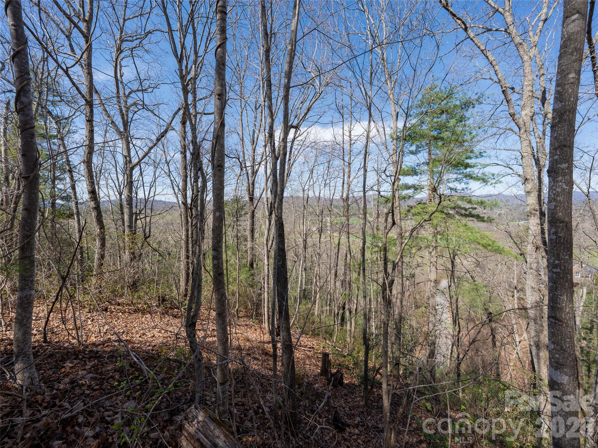 Lot at 99999 Okoboji Drive, Fletcher, photo 8 of 22