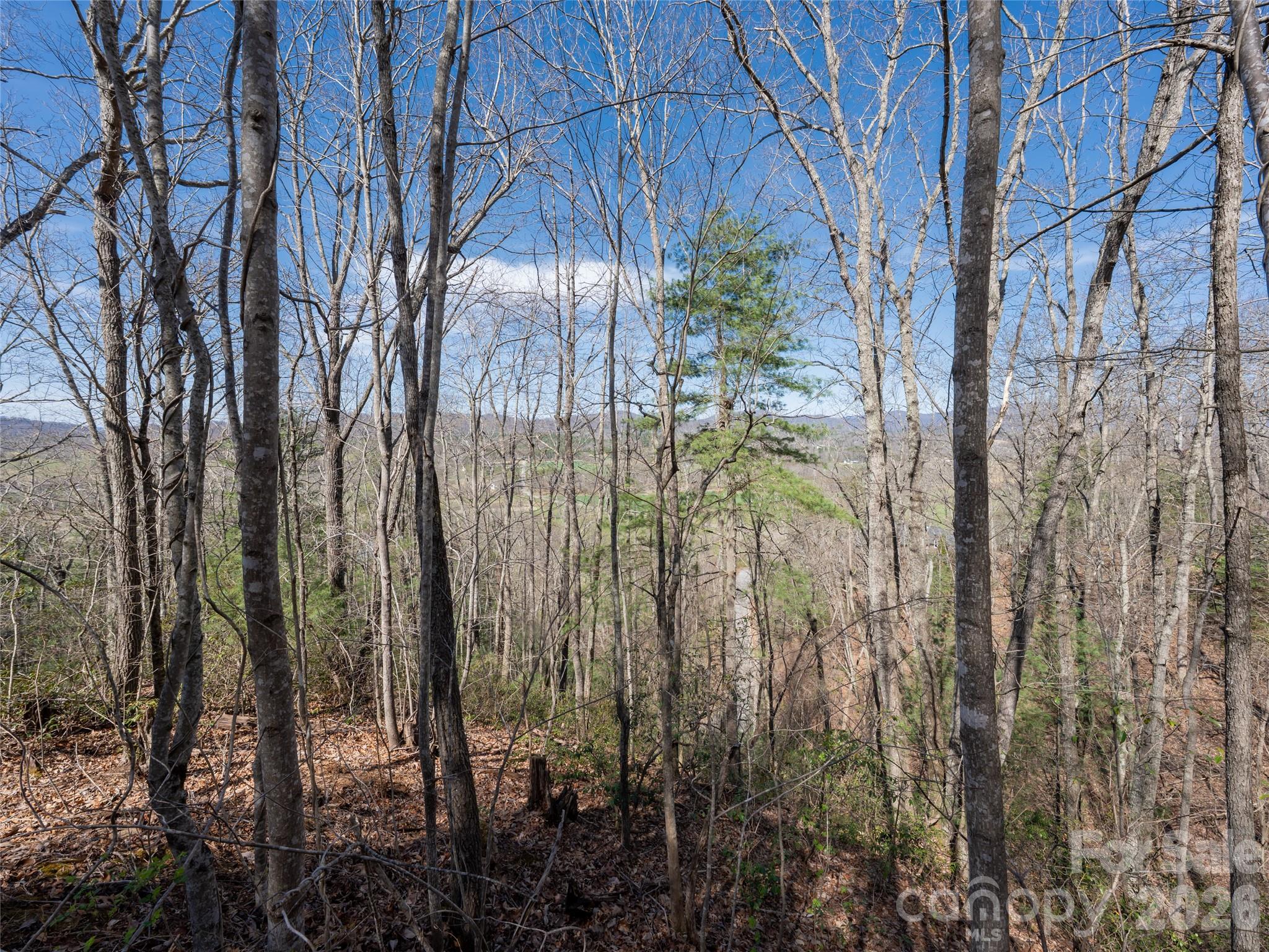 Lot at 99999 Okoboji Drive, Fletcher, photo 9 of 22