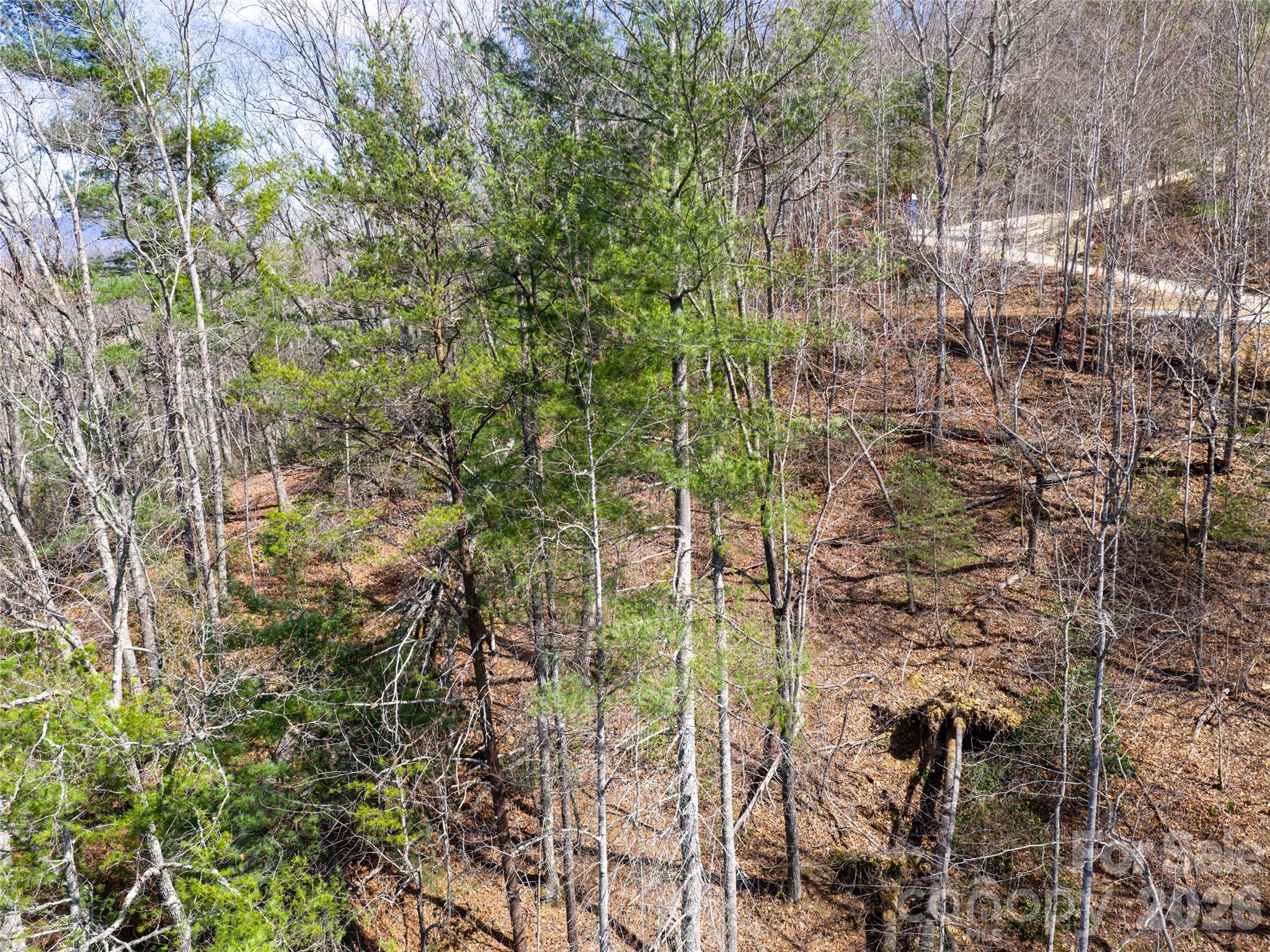 Lot at 99999 Okoboji Drive, Fletcher, photo 12 of 22