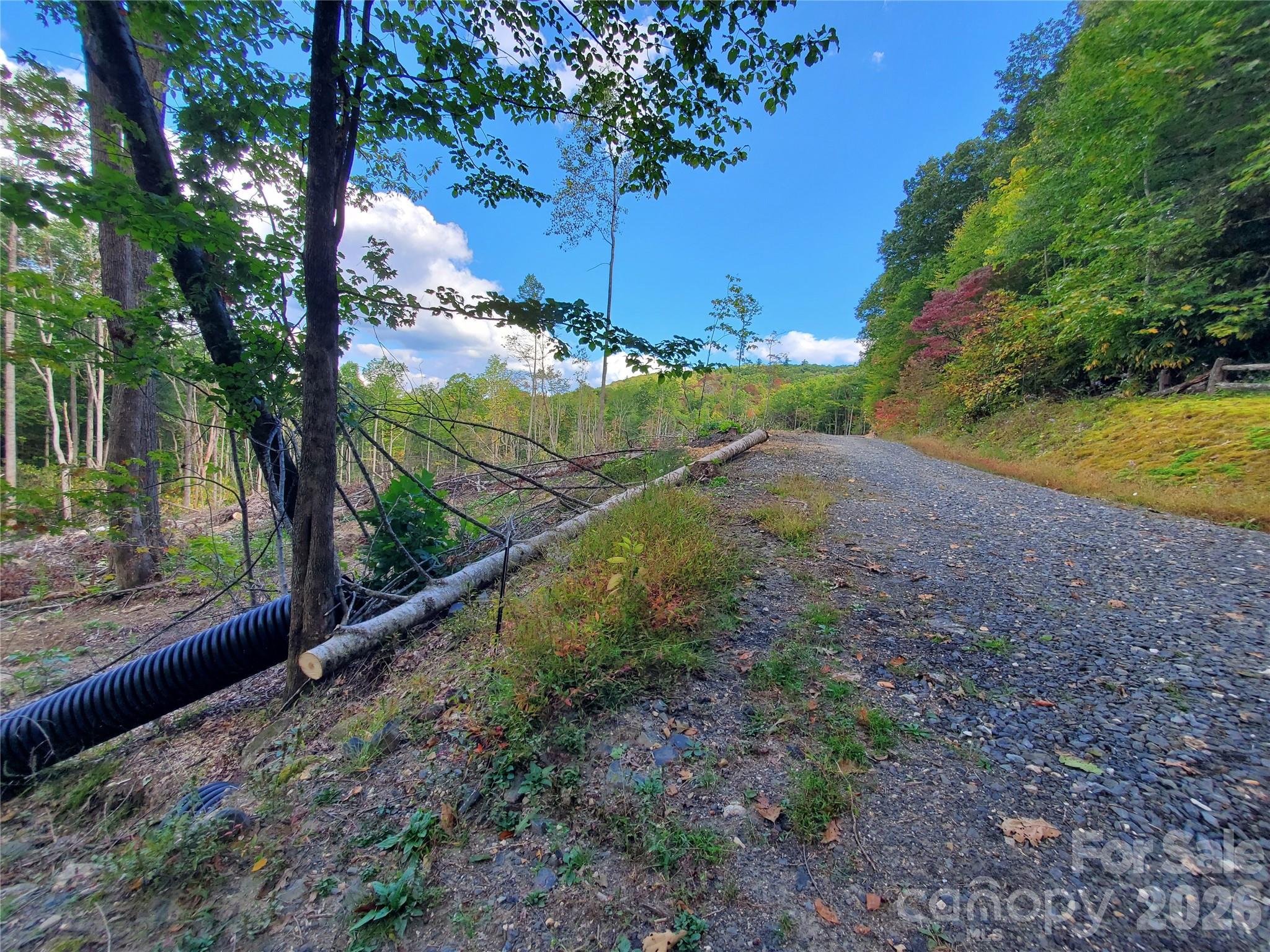 Acreage at 00 Parkwood Hill Road, Spruce Pine, photo 4 of 13