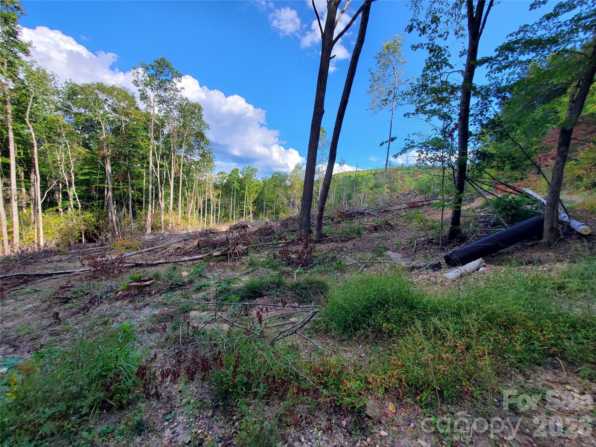 Acreage at 00 Parkwood Hill Road, Spruce Pine, photo 10 of 13