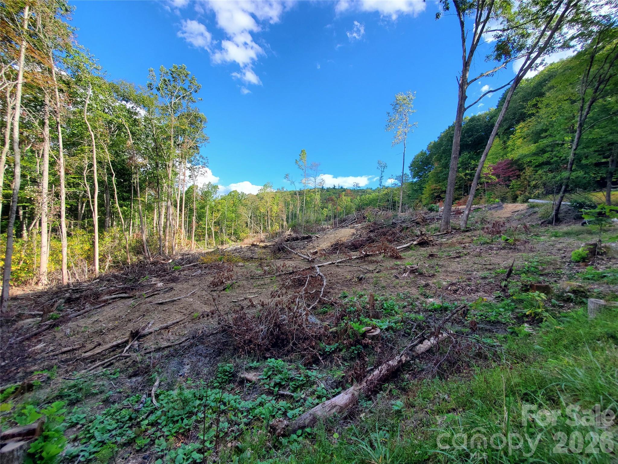 Acreage at 00 Parkwood Hill Road, Spruce Pine, photo 12 of 13