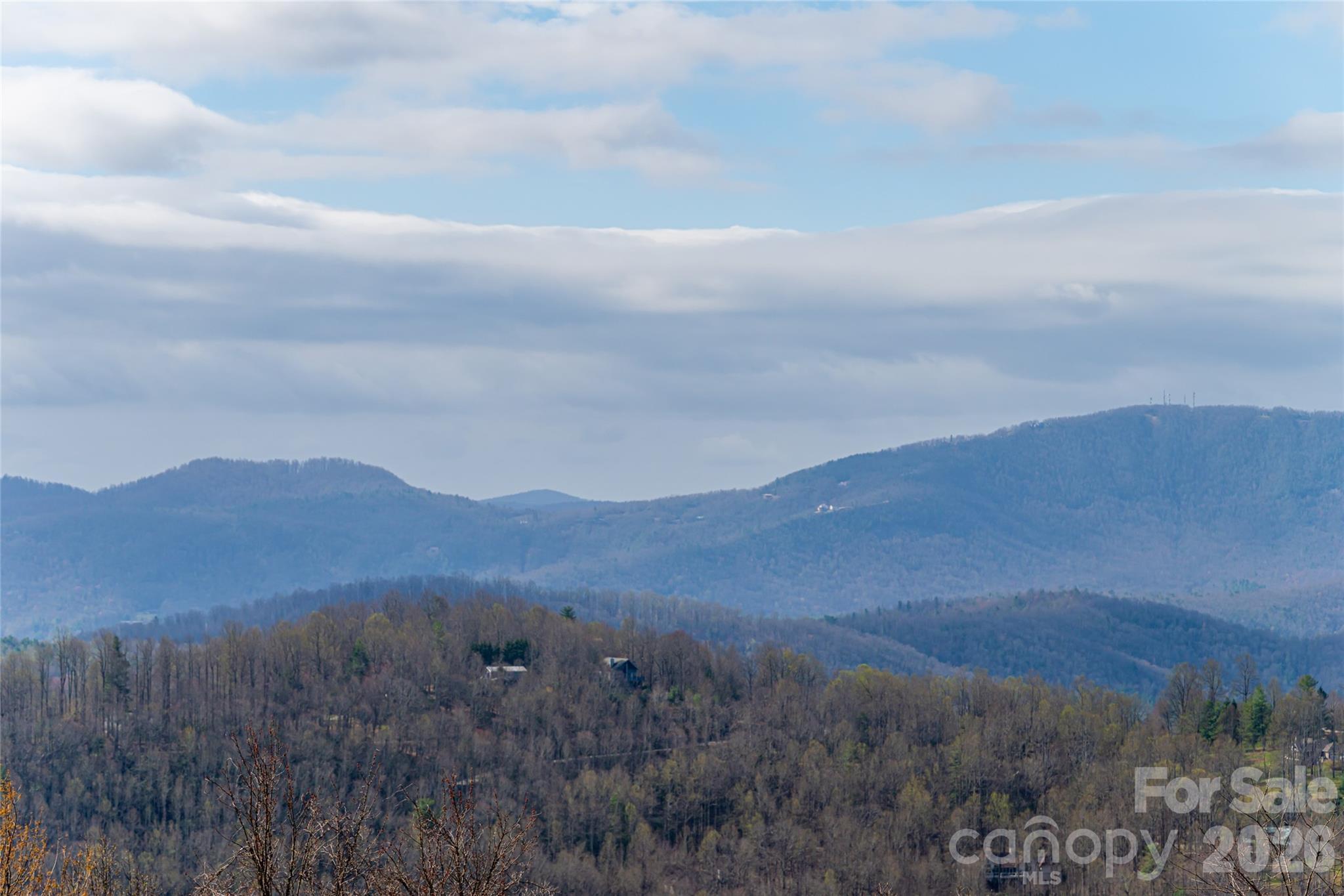 Long range views - 1203 Fleetwood Plaza, Hendersonville