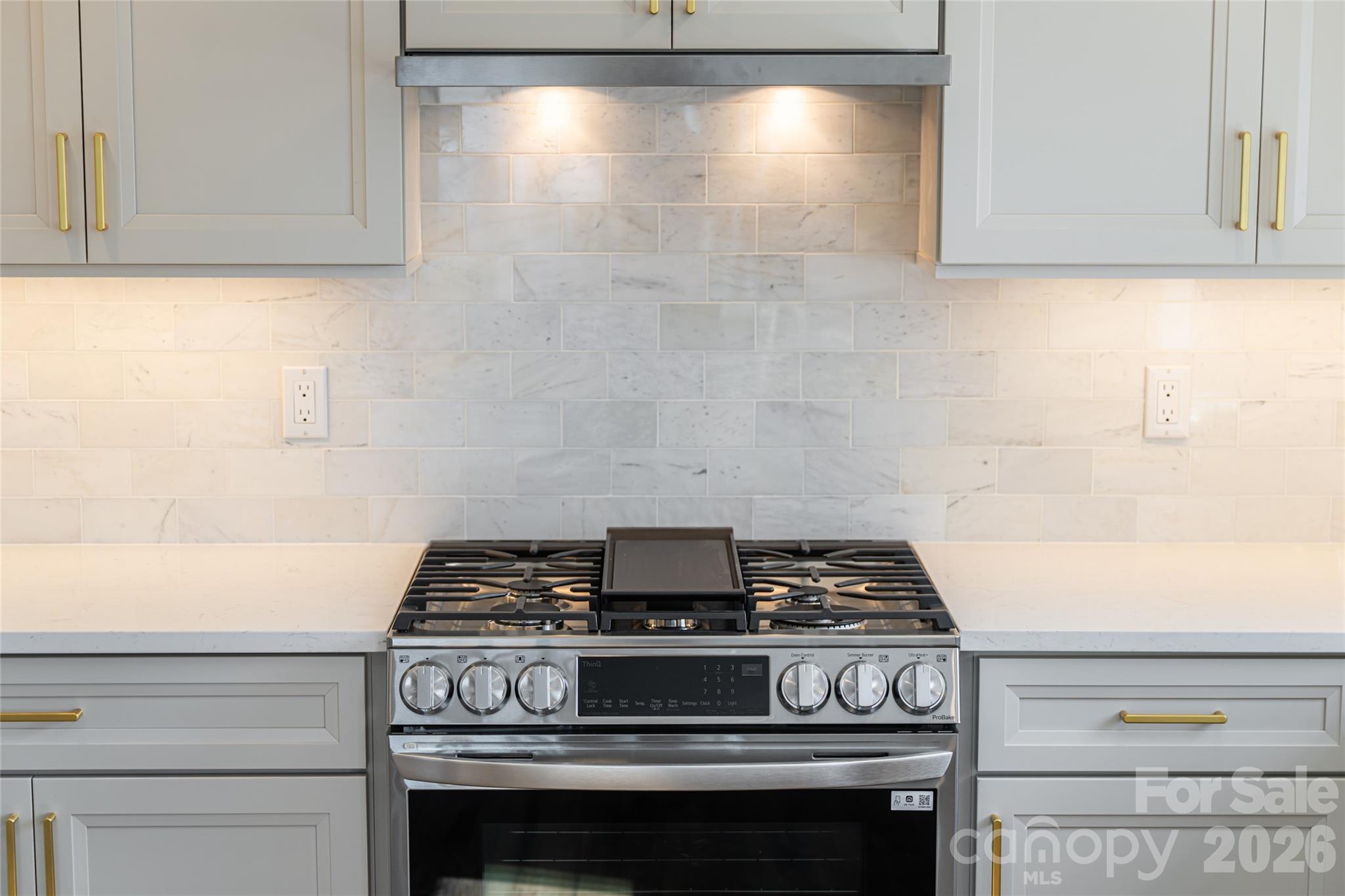 Gas range - 1203 Fleetwood Plaza, Hendersonville