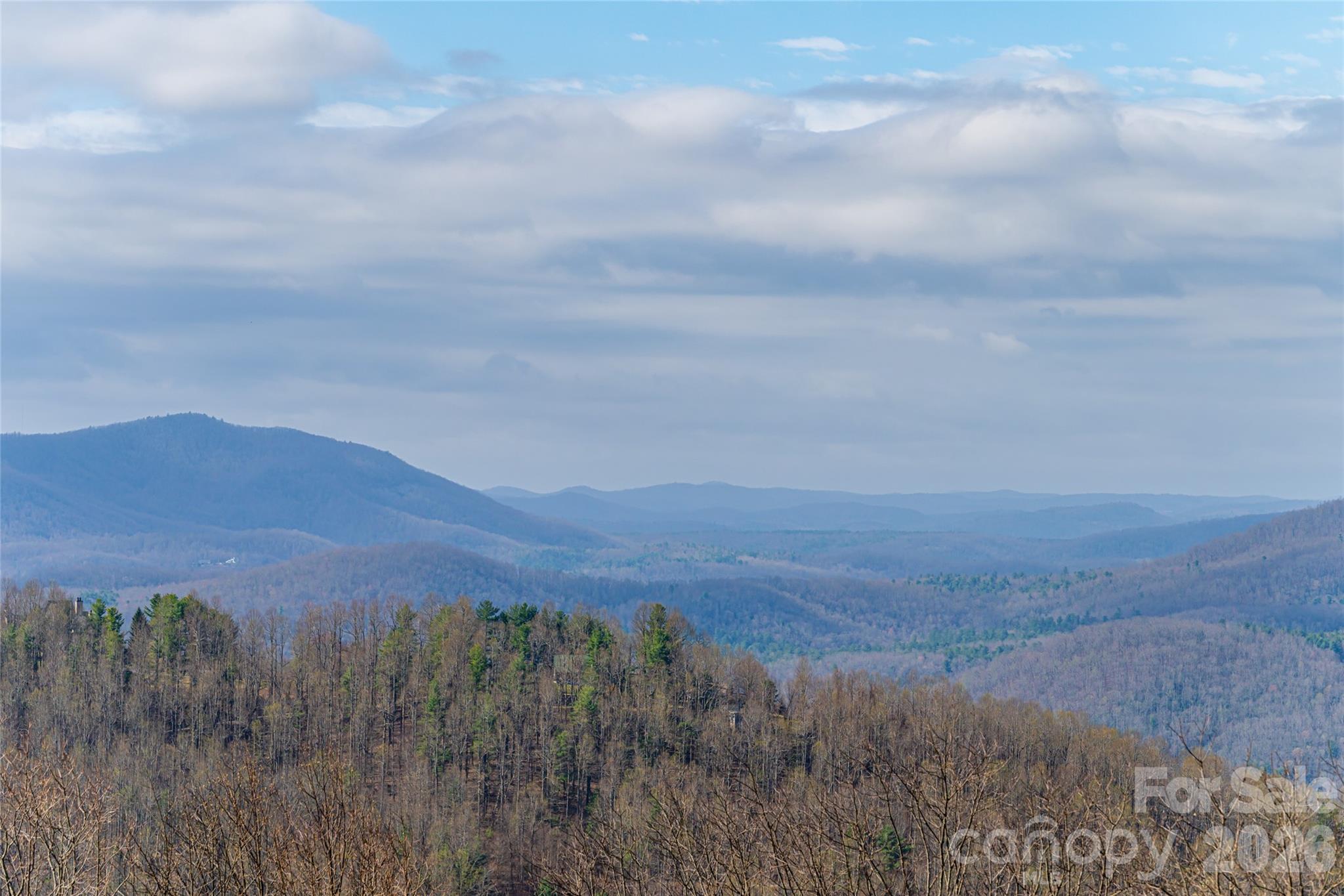 Views from primary deck - 1203 Fleetwood Plaza, Hendersonville