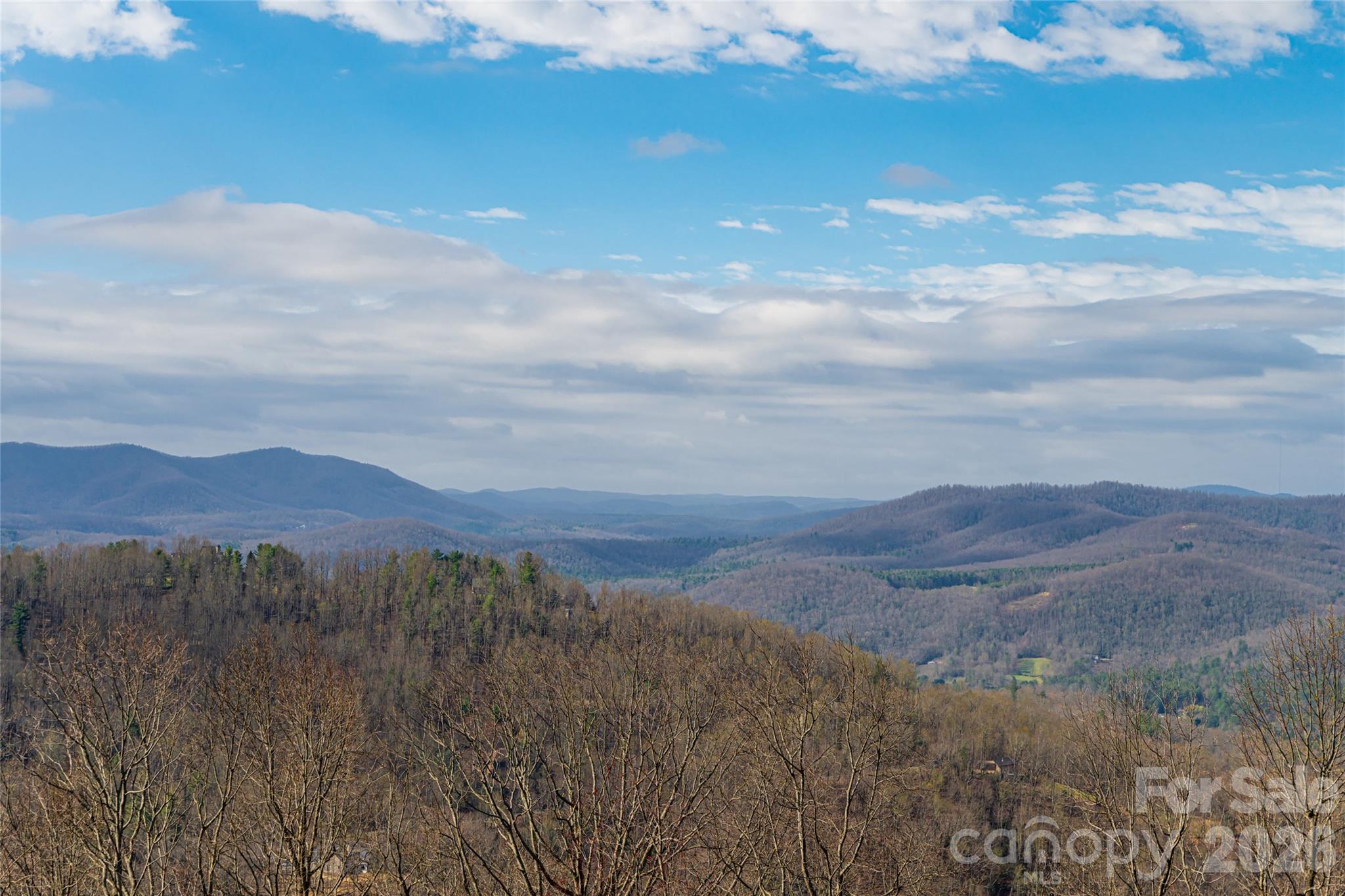 Long range views - 1203 Fleetwood Plaza, Hendersonville