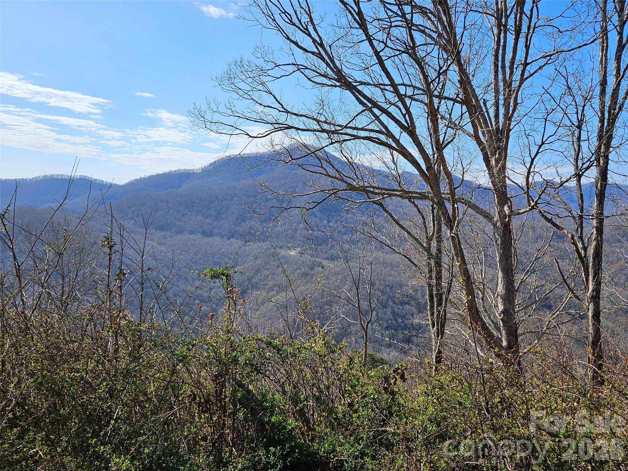 Lot at 989 High Rock View Drive, Canton, photo 3 of 27