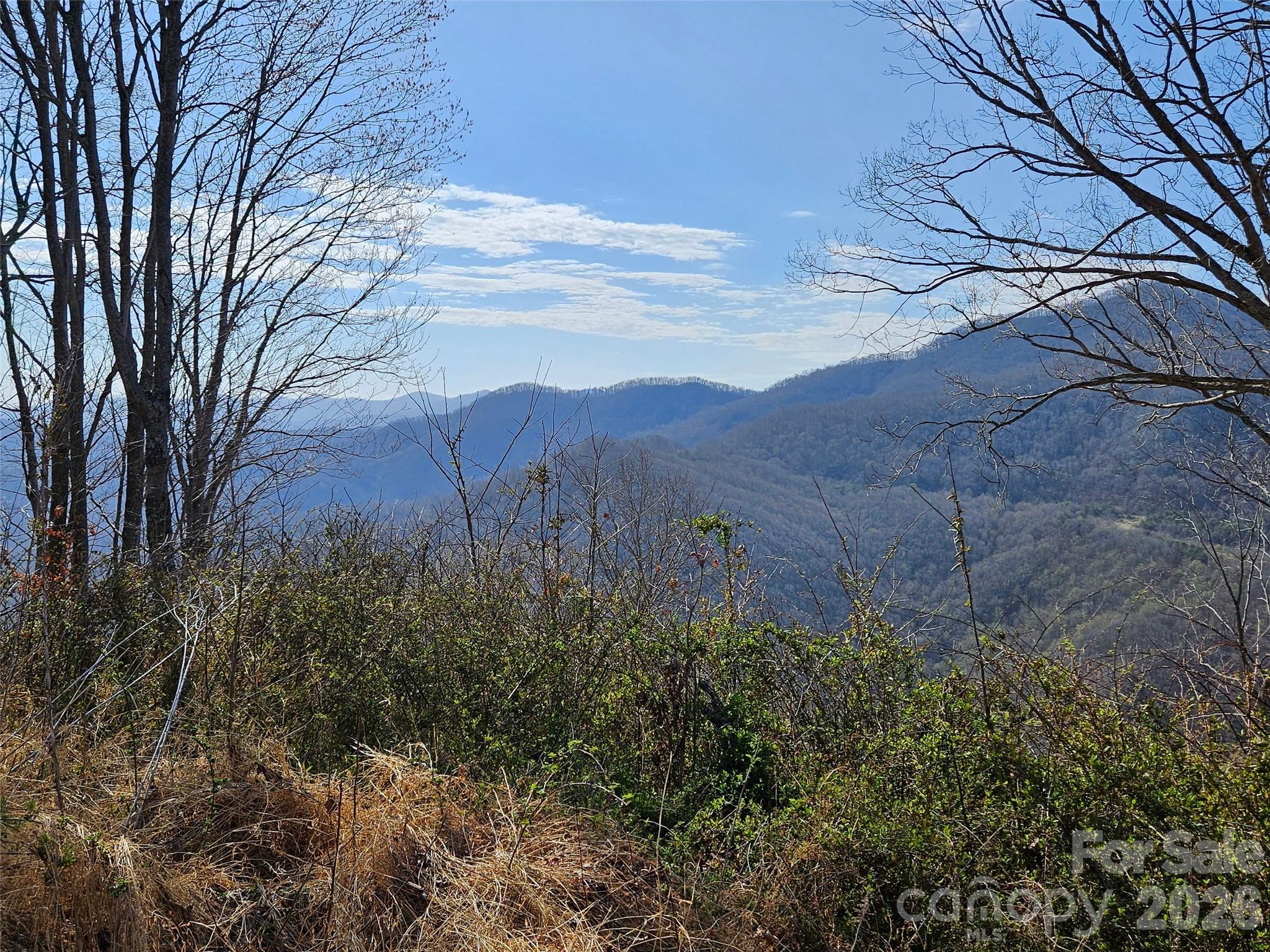 Lot at 989 High Rock View Drive, Canton, photo 4 of 27