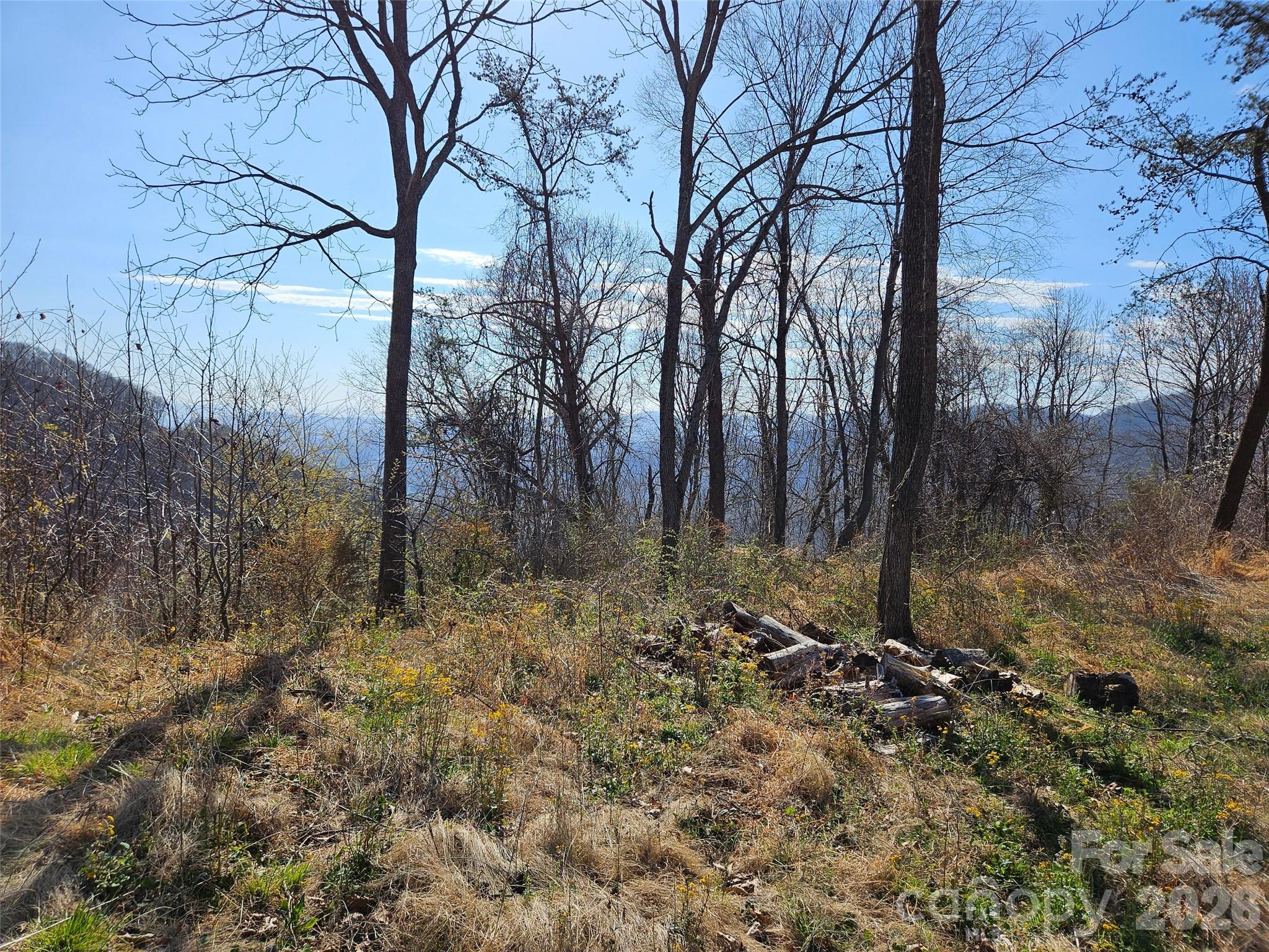 Lot at 989 High Rock View Drive, Canton, photo 5 of 27