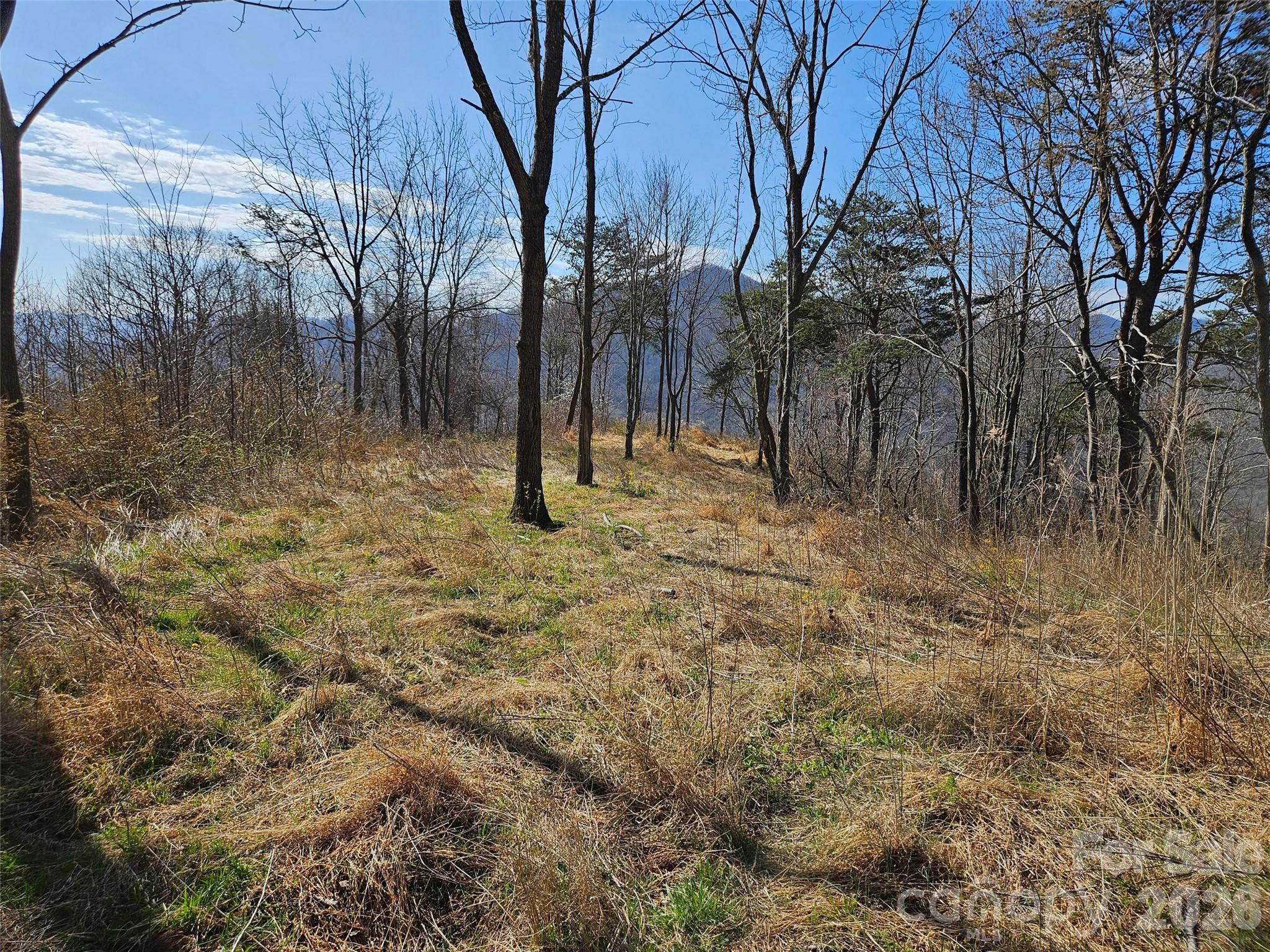 Lot at 989 High Rock View Drive, Canton, photo 6 of 27