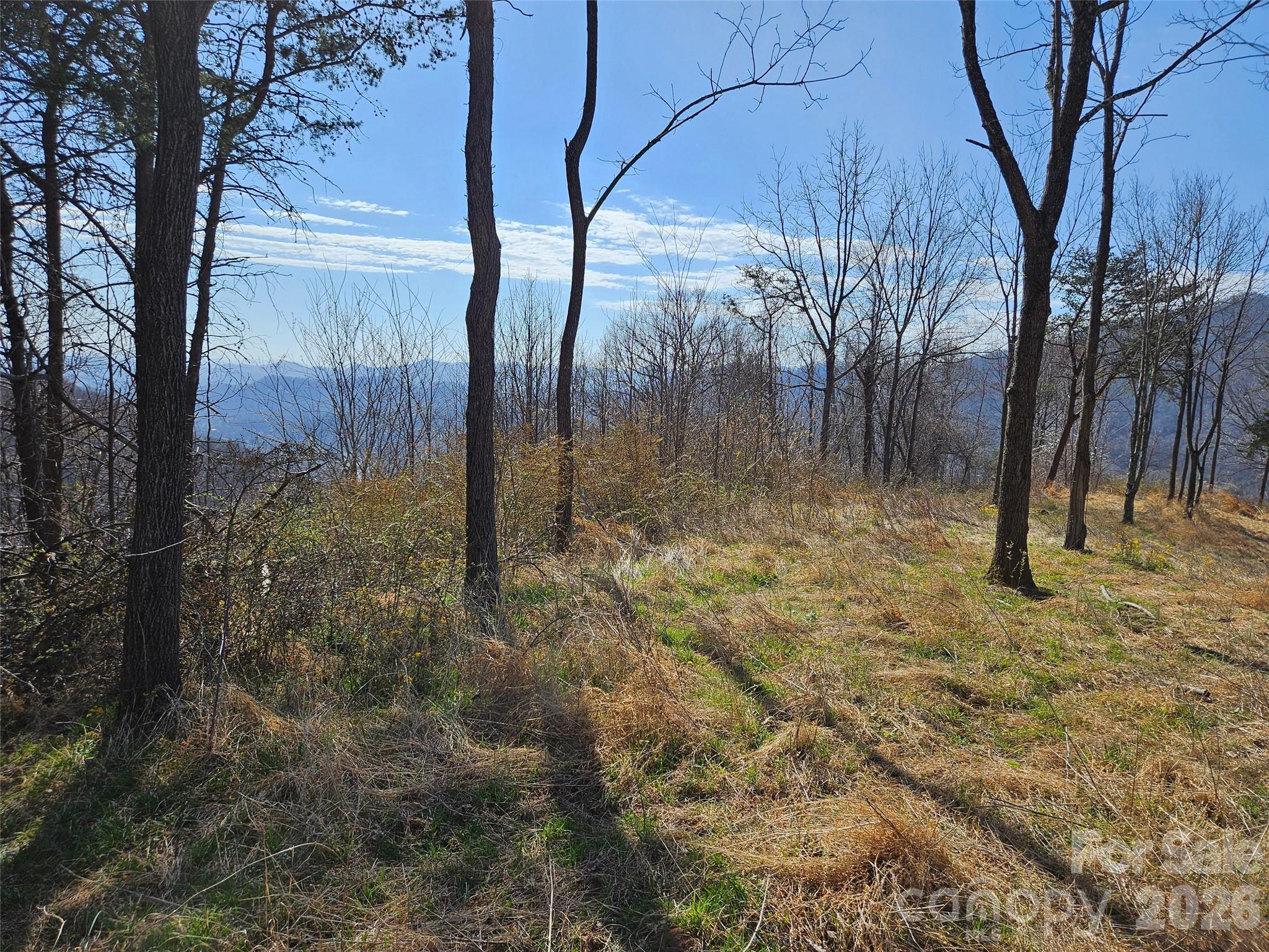 Lot at 989 High Rock View Drive, Canton, photo 7 of 27