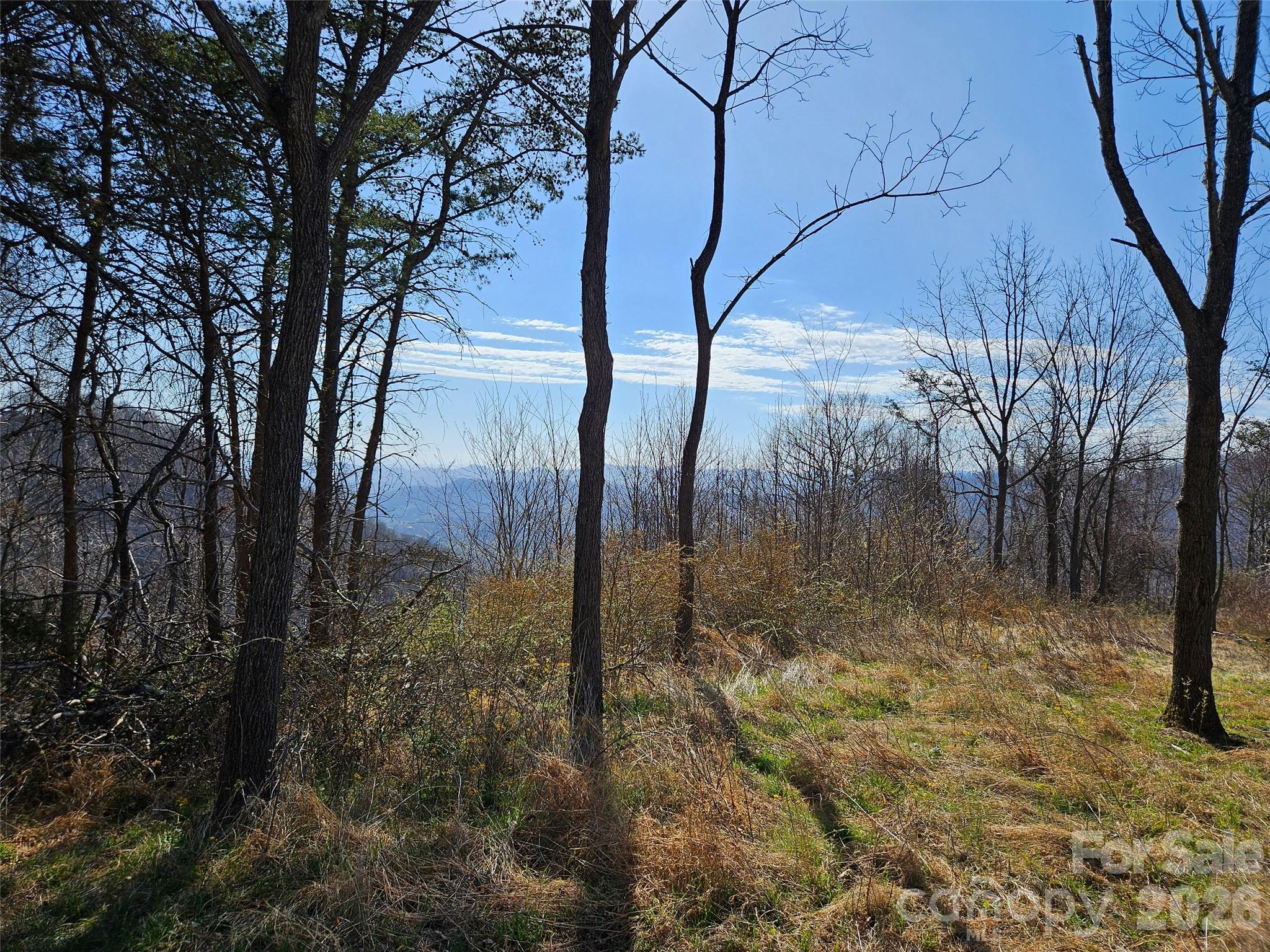 Lot at 989 High Rock View Drive, Canton, photo 8 of 27
