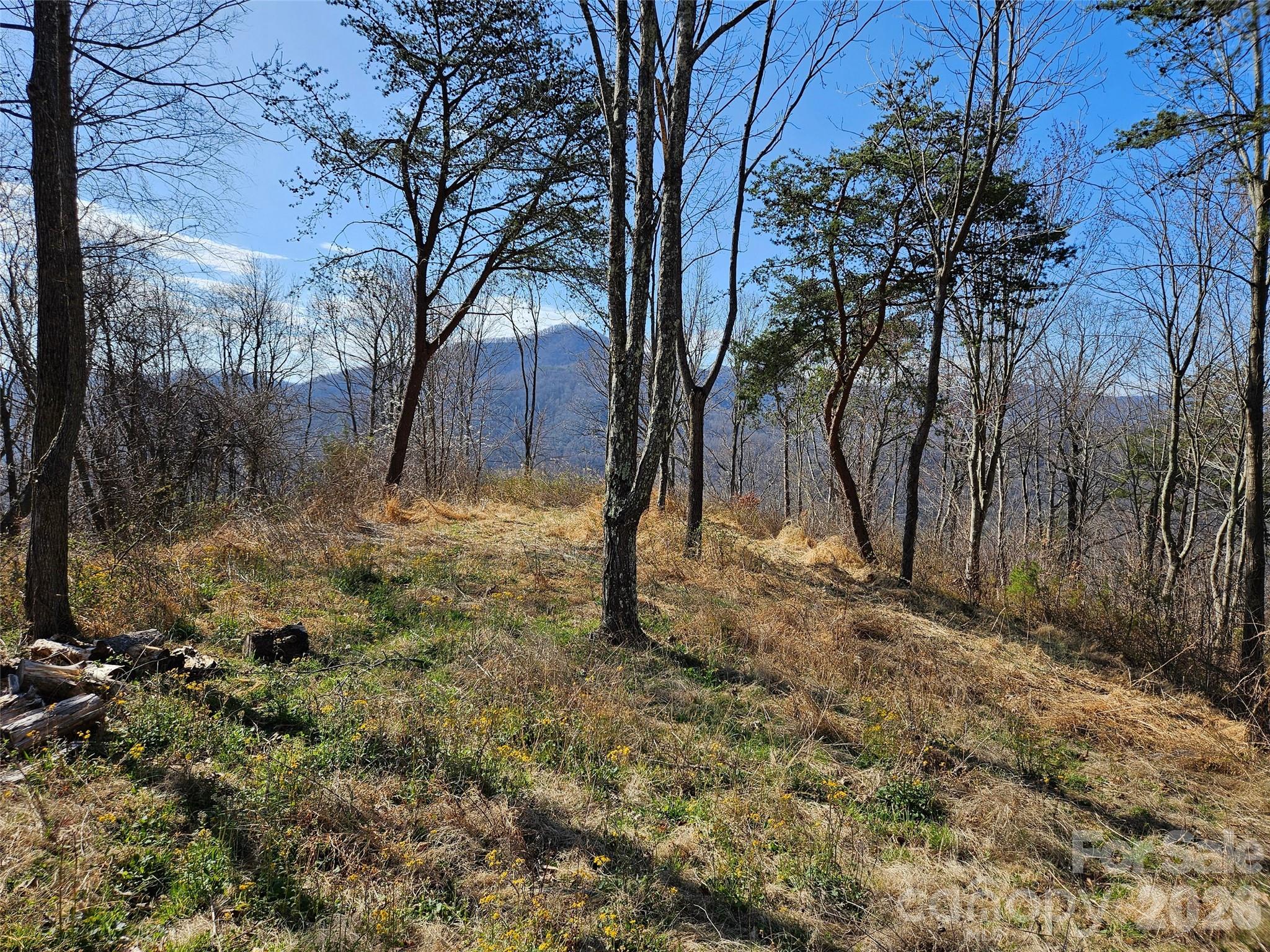 Lot at 989 High Rock View Drive, Canton, photo 9 of 27