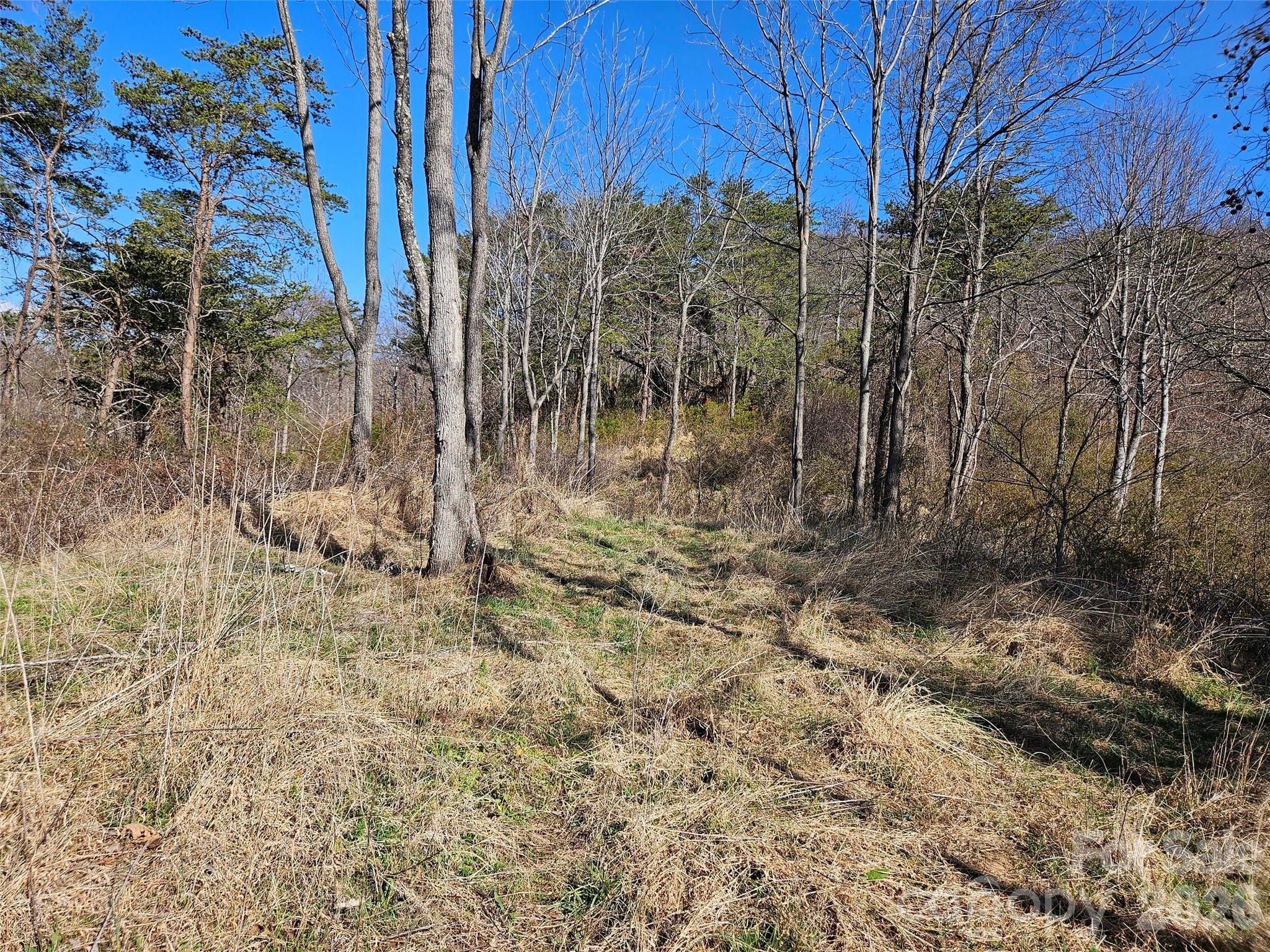 Lot at 989 High Rock View Drive, Canton, photo 10 of 27