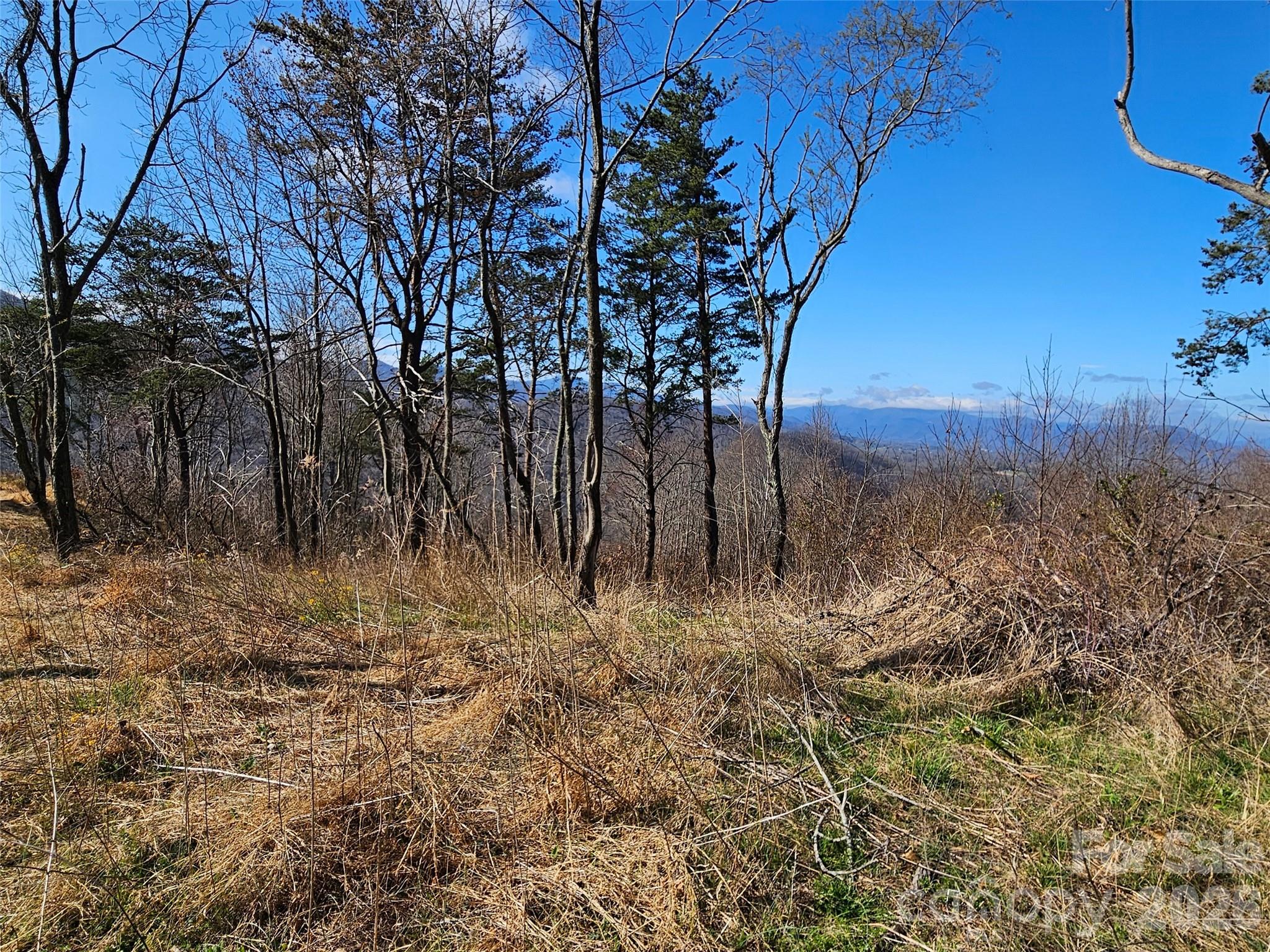 Lot at 989 High Rock View Drive, Canton, photo 11 of 27