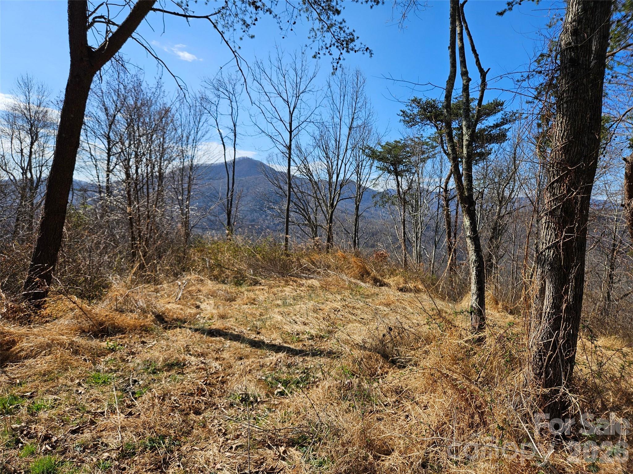 Lot at 989 High Rock View Drive, Canton, photo 12 of 27
