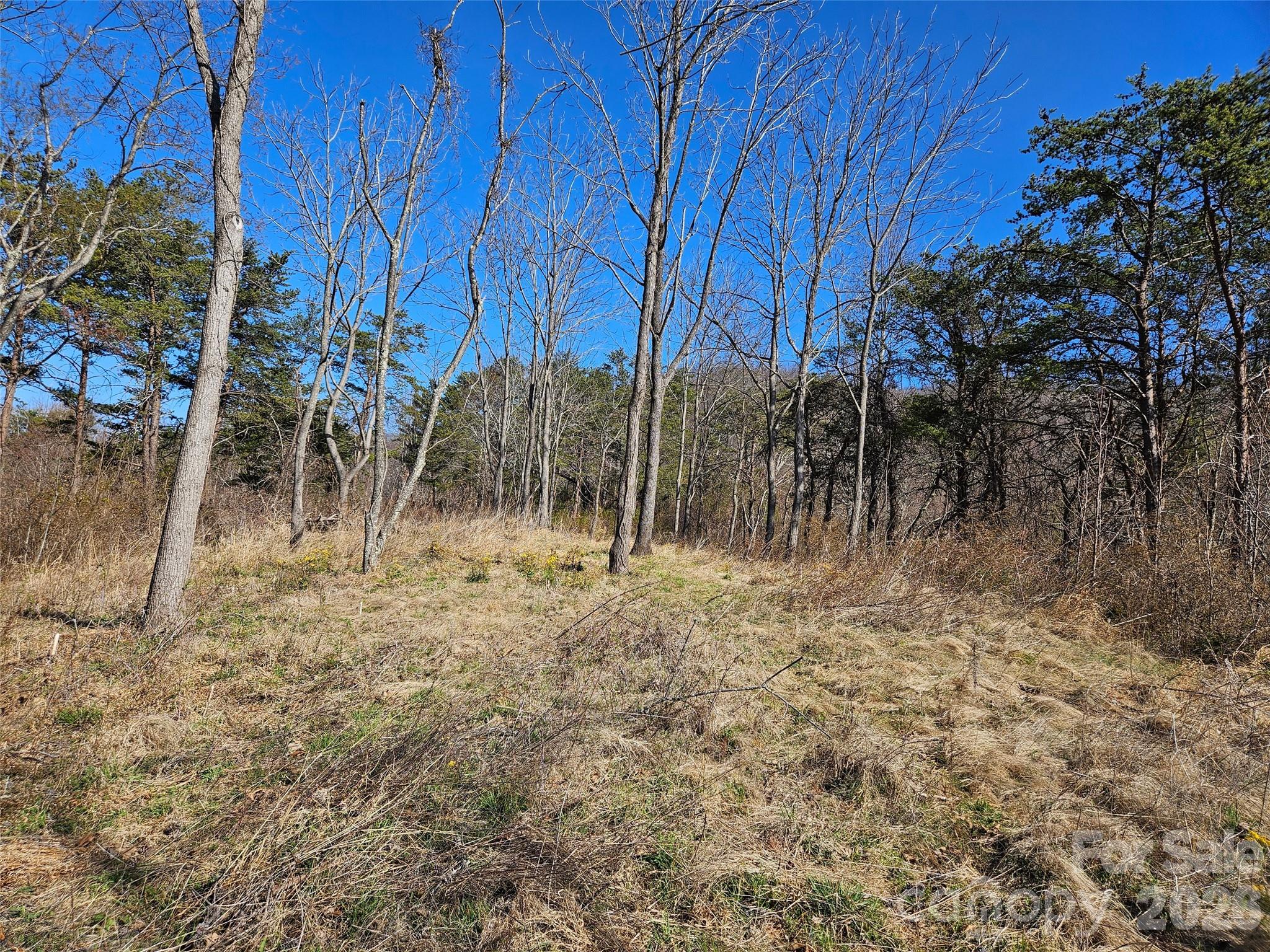 Lot at 989 High Rock View Drive, Canton, photo 13 of 27