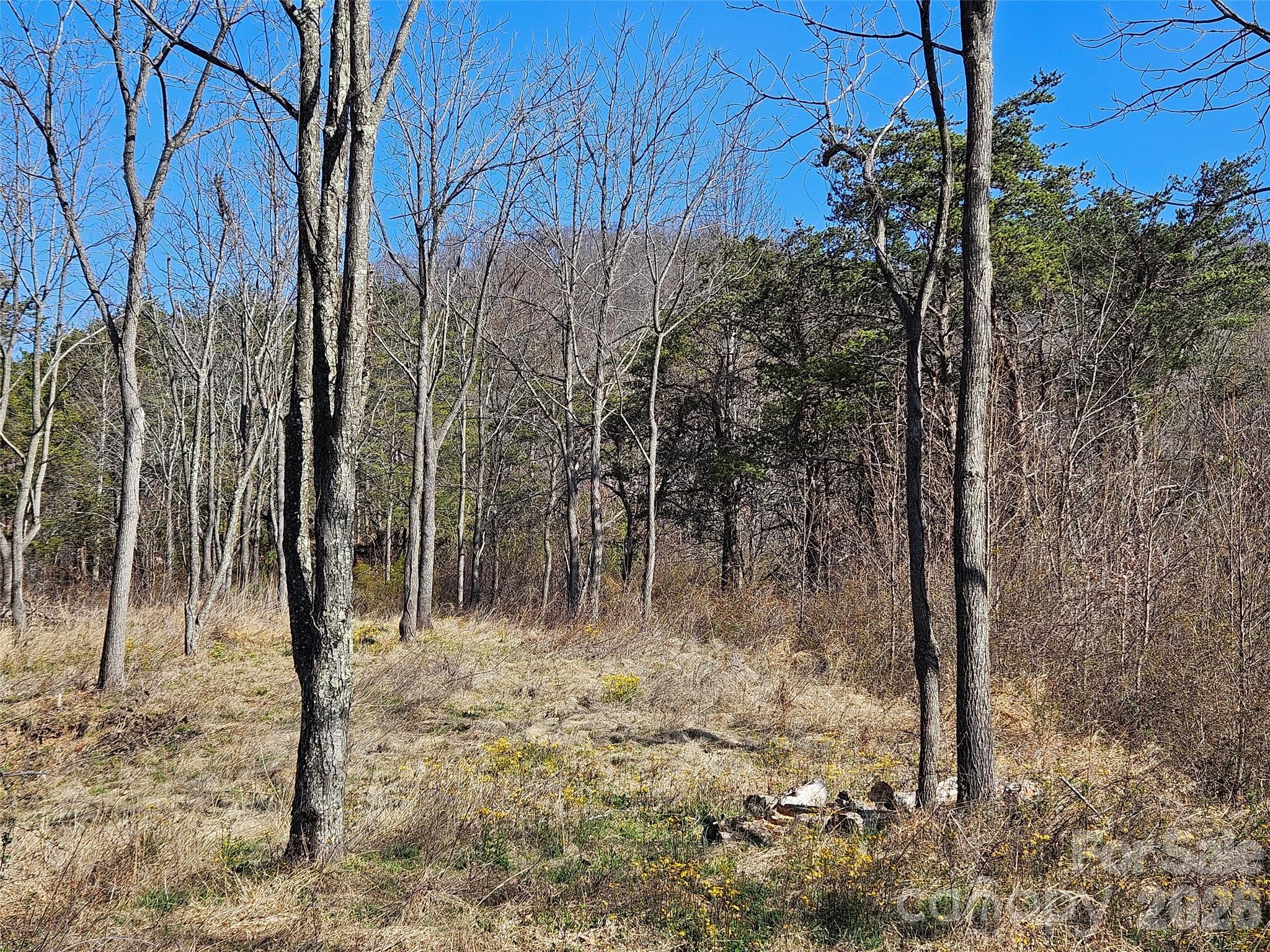 Lot at 989 High Rock View Drive, Canton, photo 14 of 27