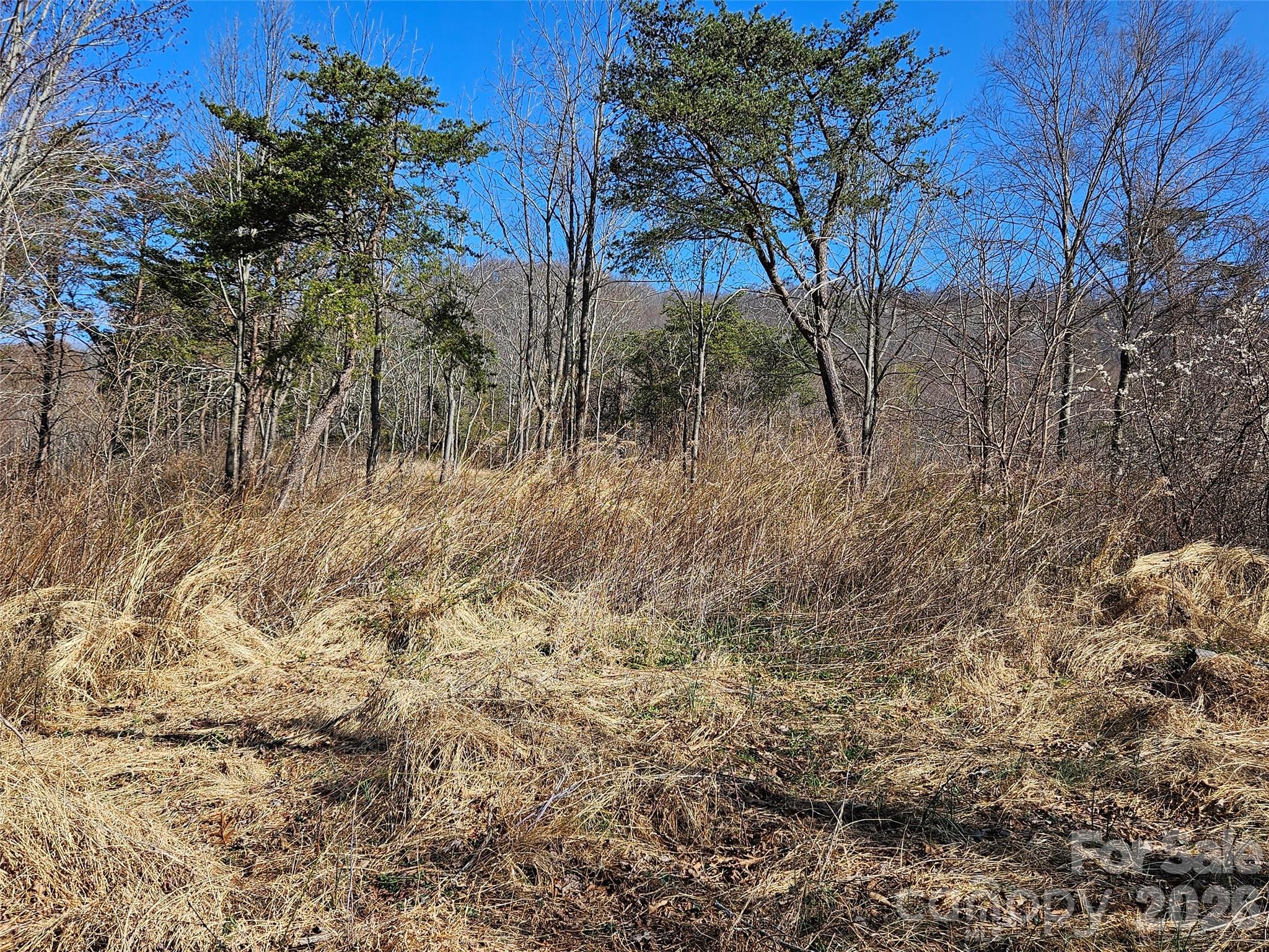 Lot at 989 High Rock View Drive, Canton, photo 15 of 27