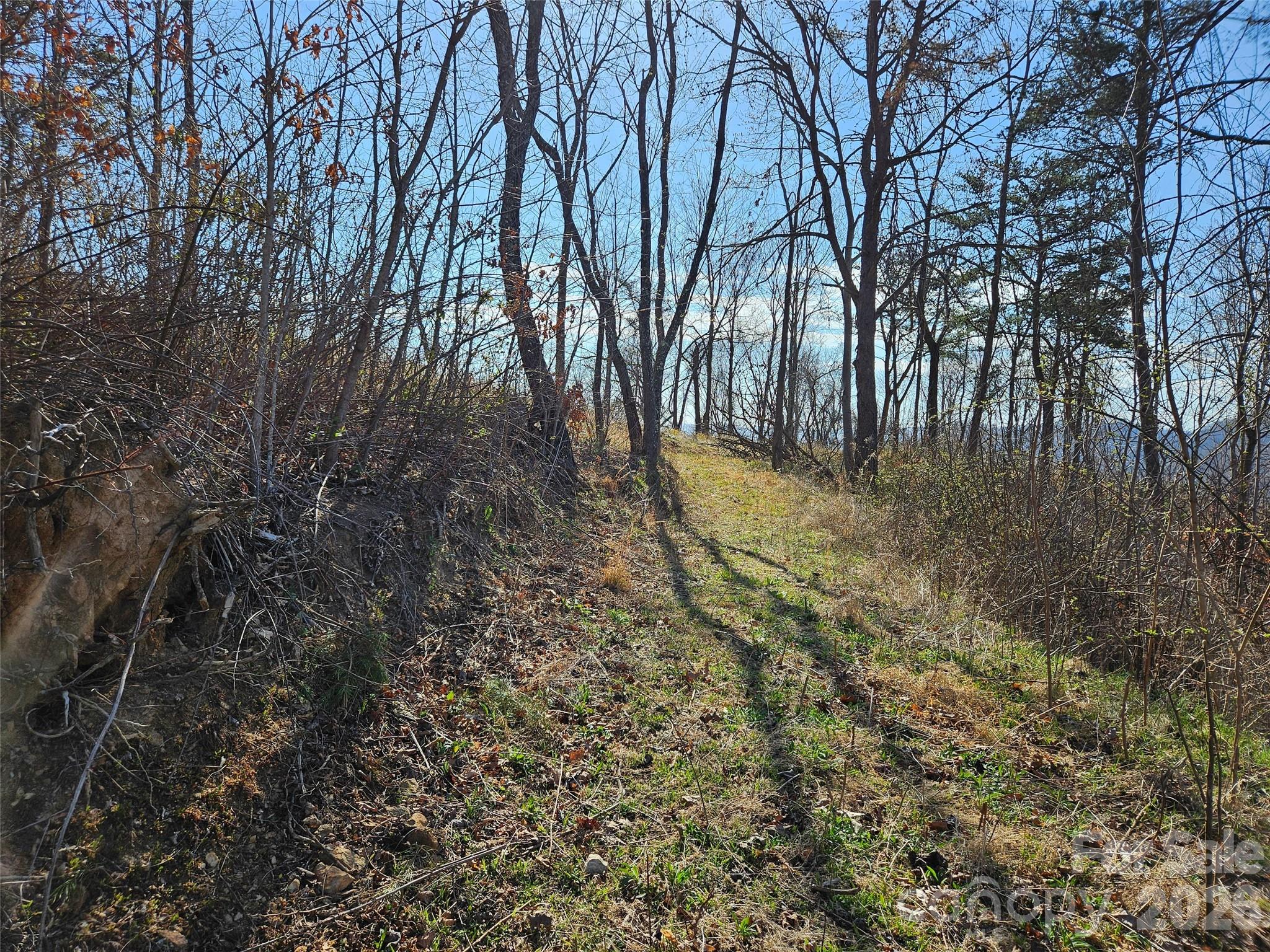 Lot at 989 High Rock View Drive, Canton, photo 18 of 27