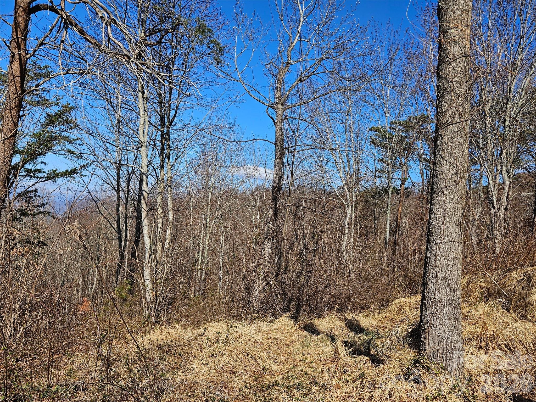 Lot at 989 High Rock View Drive, Canton, photo 19 of 27