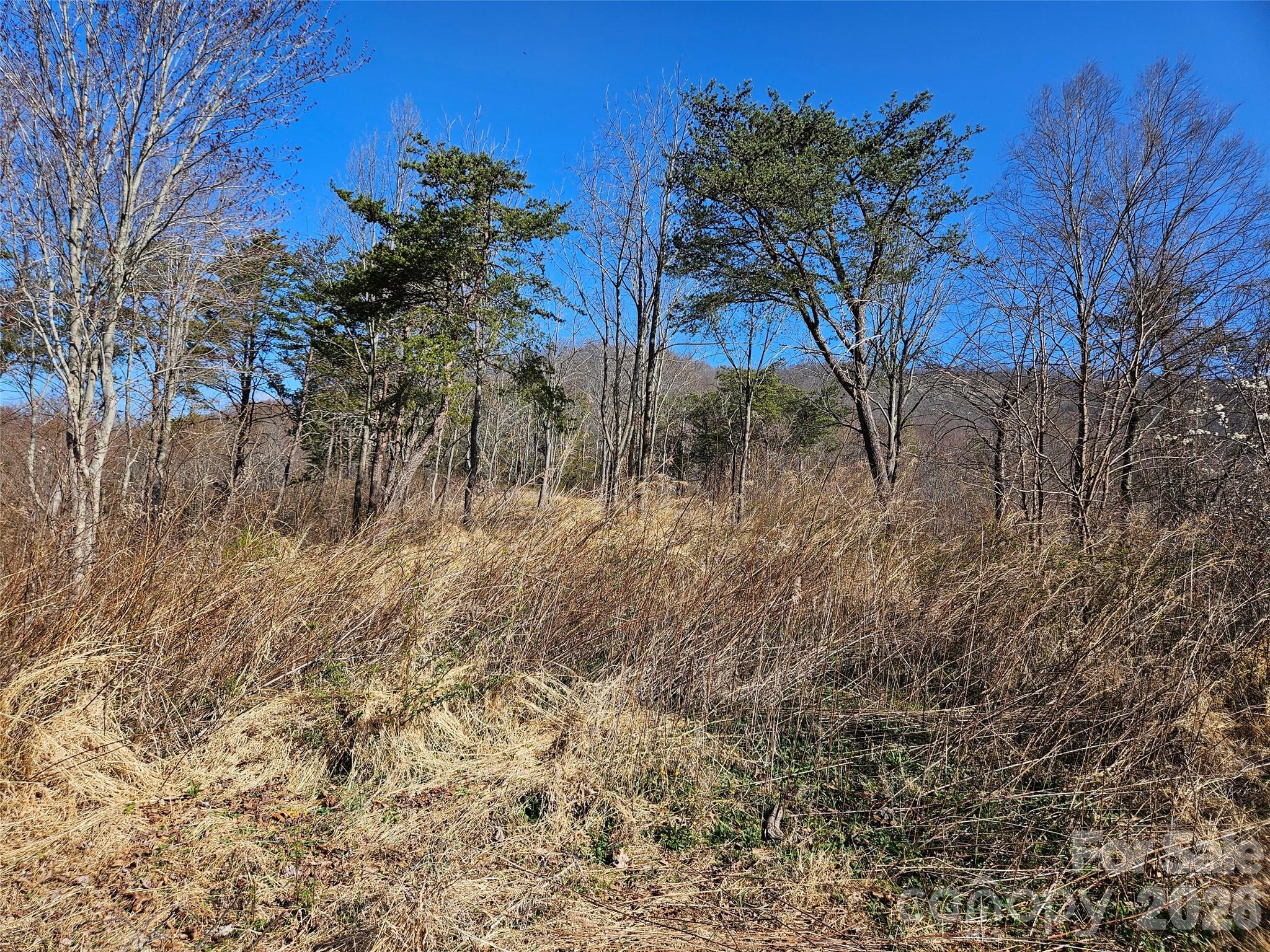 Lot at 989 High Rock View Drive, Canton, photo 23 of 27