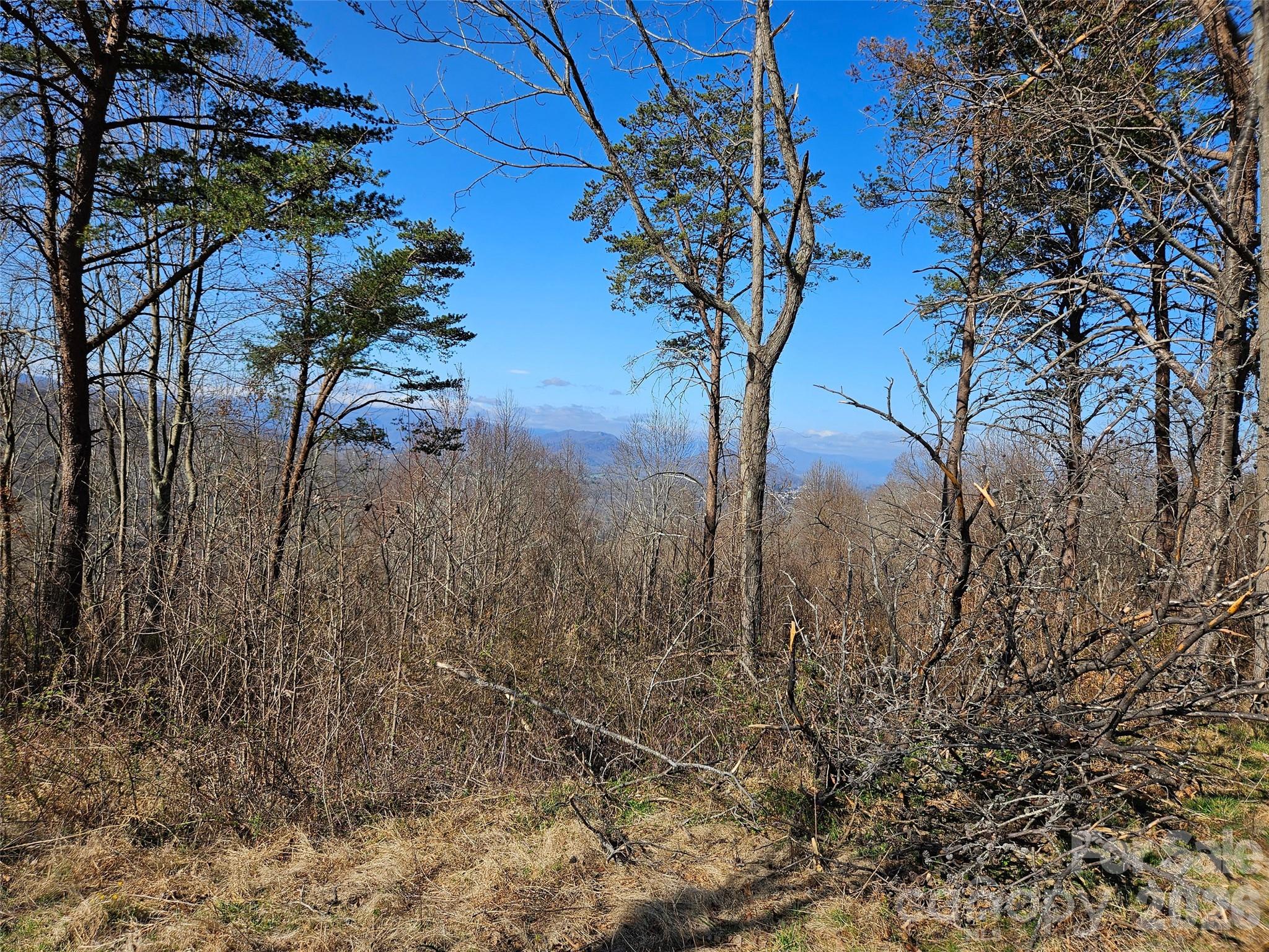 Lot at 989 High Rock View Drive, Canton, photo 24 of 27