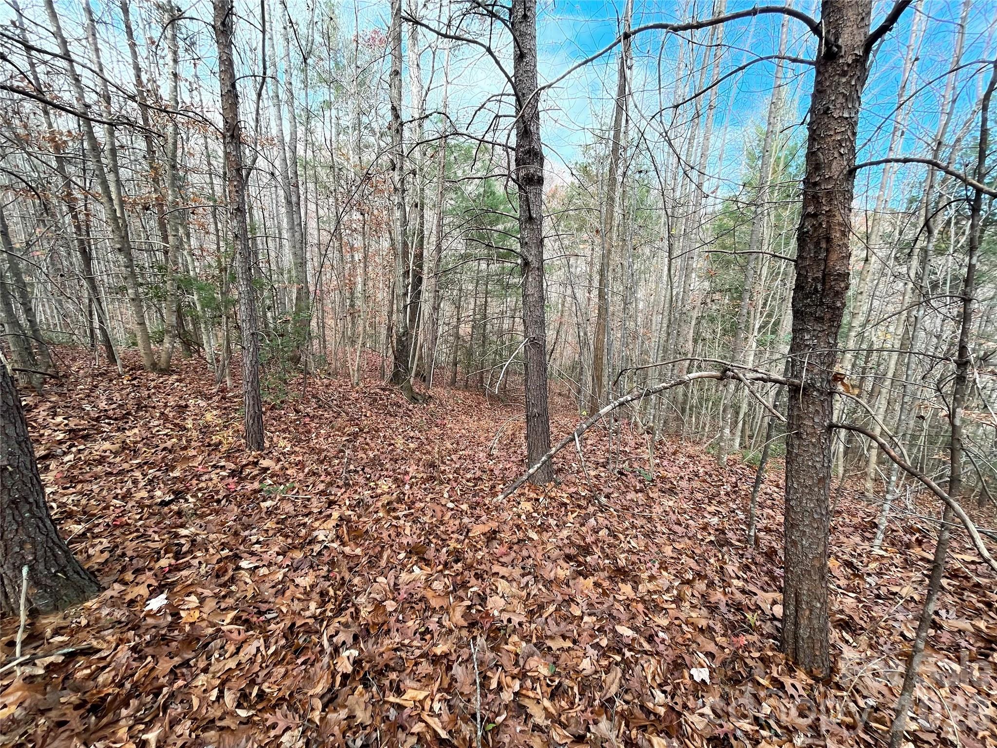 Acreage at 3308 Valley Drive, Lenoir, photo 4 of 5