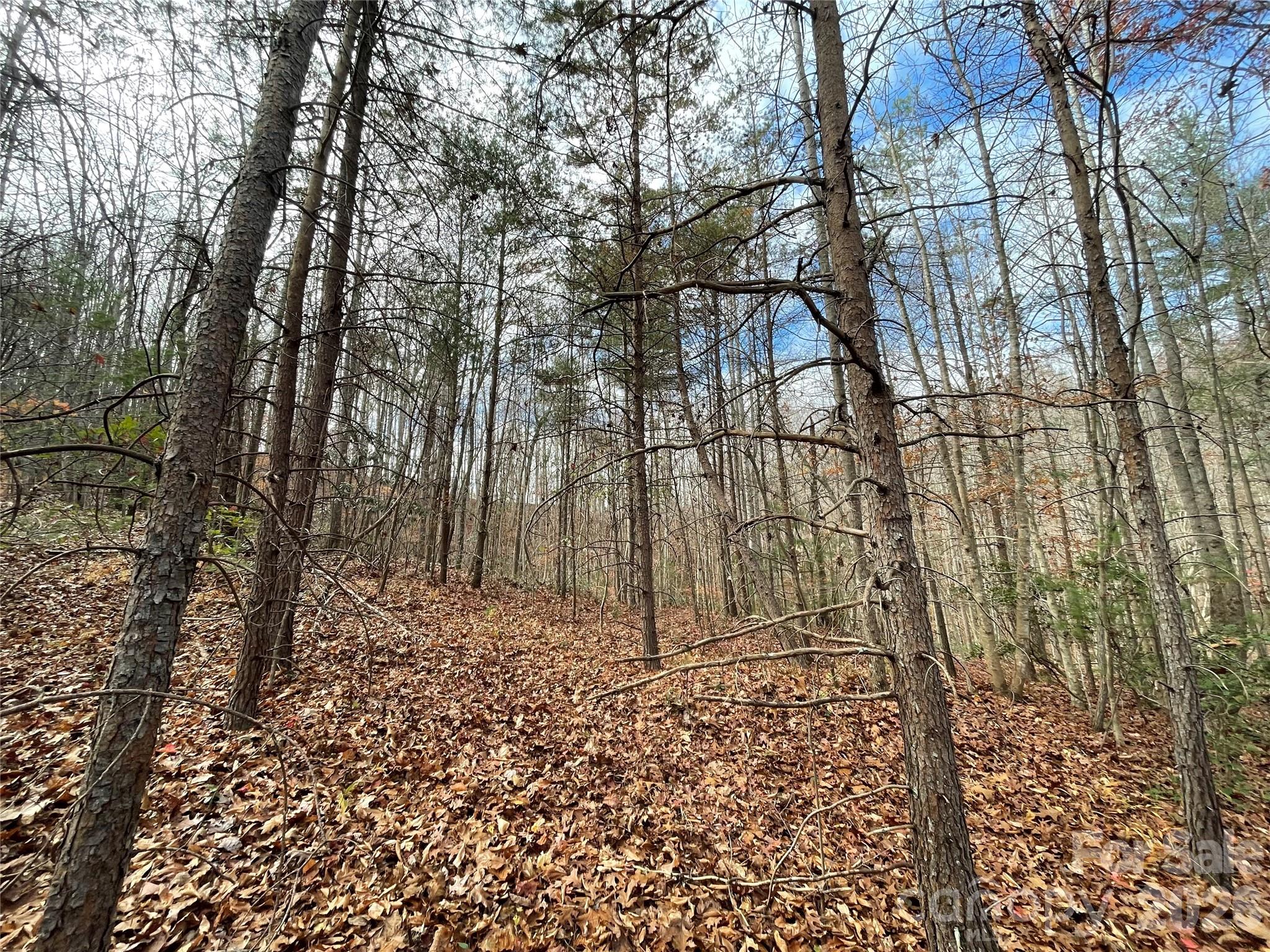 Acreage at 3308 Valley Drive, Lenoir, photo 5 of 5