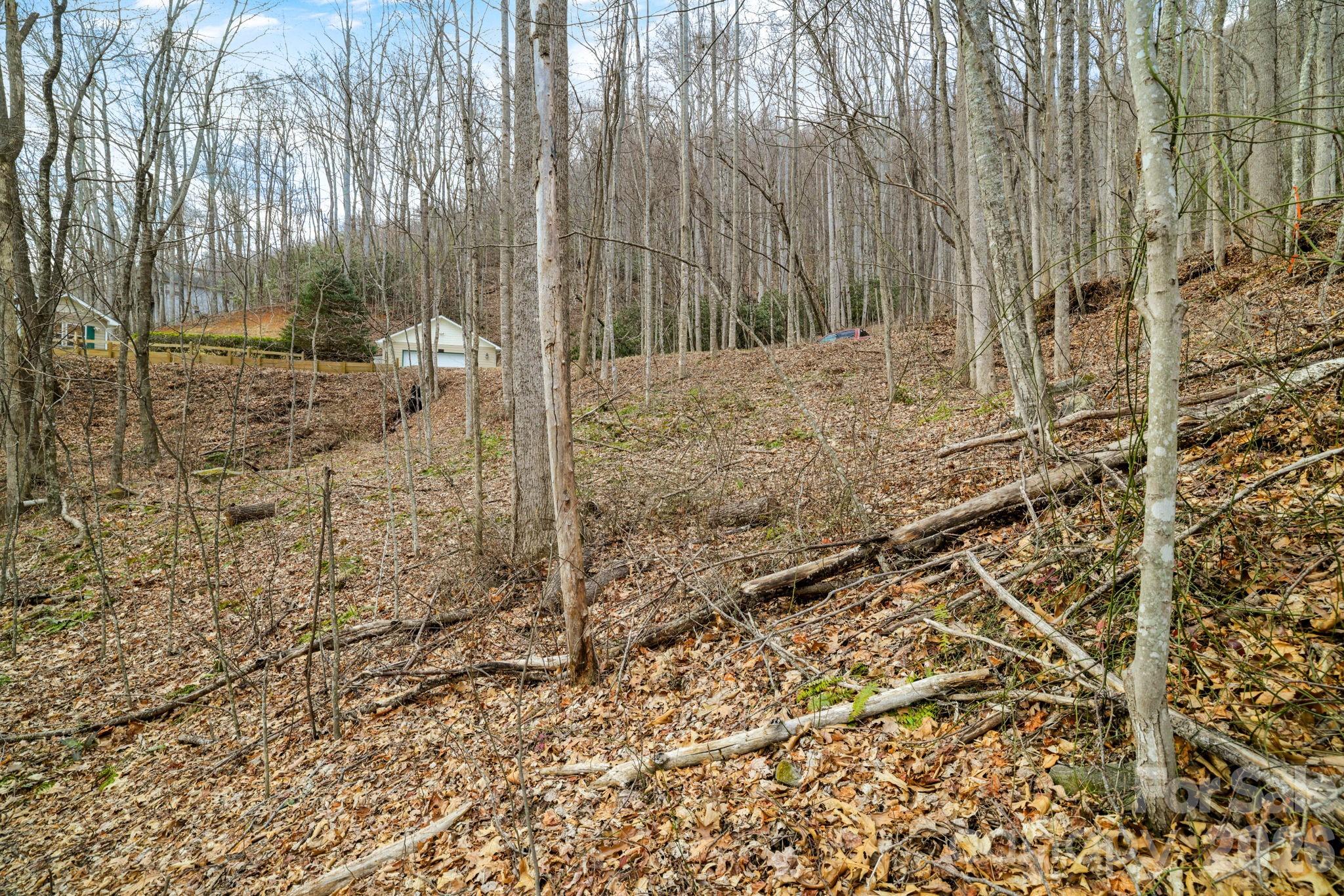 Lot at 00 Sleepy Hollow Drive, Maggie Valley, photo 2 of 16