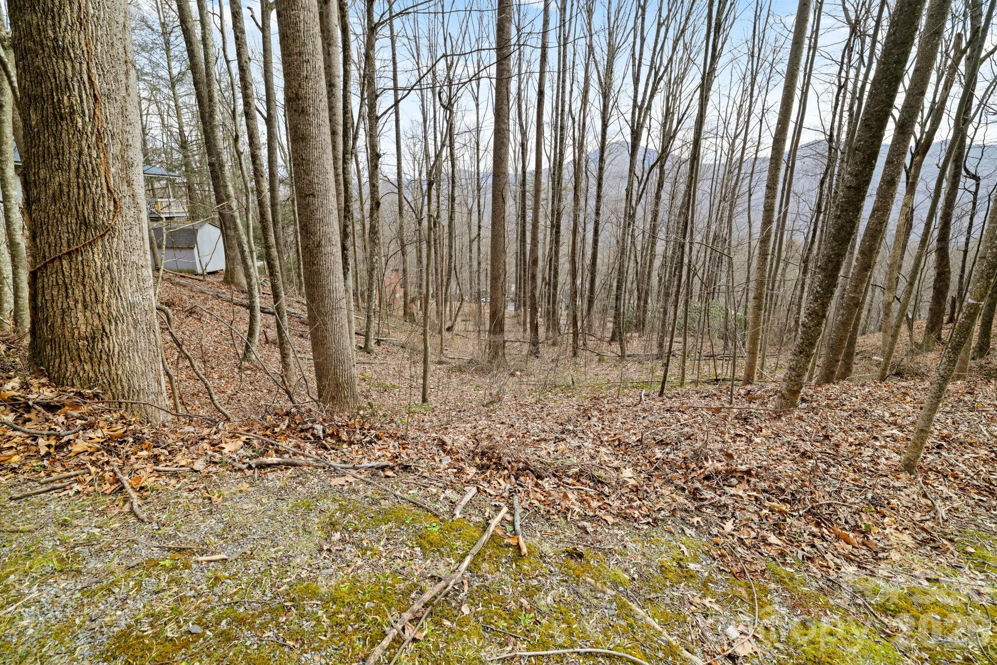 Lot at 00 Sleepy Hollow Drive, Maggie Valley, photo 7 of 16