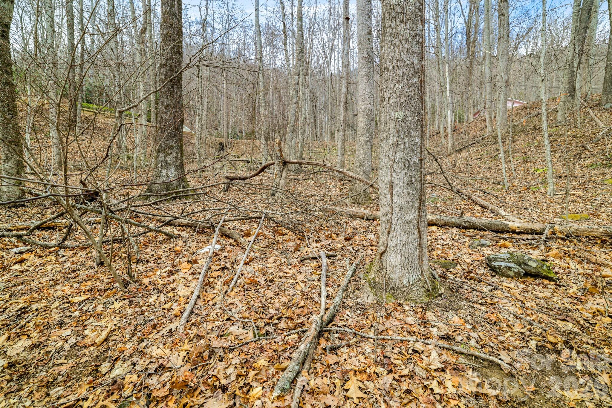 Lot at 00 Sleepy Hollow Drive, Maggie Valley, photo 9 of 16