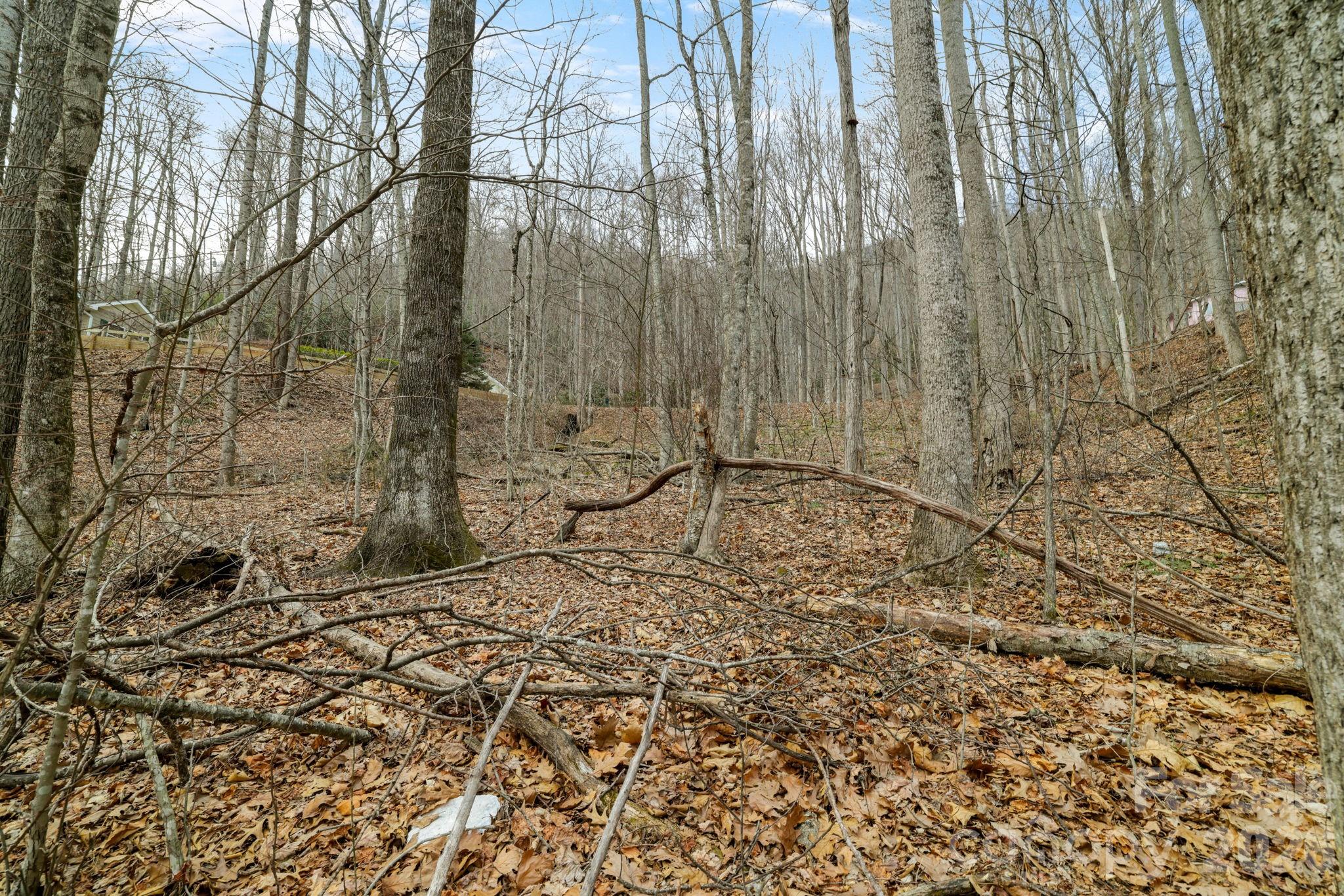Lot at 00 Sleepy Hollow Drive, Maggie Valley, photo 10 of 16