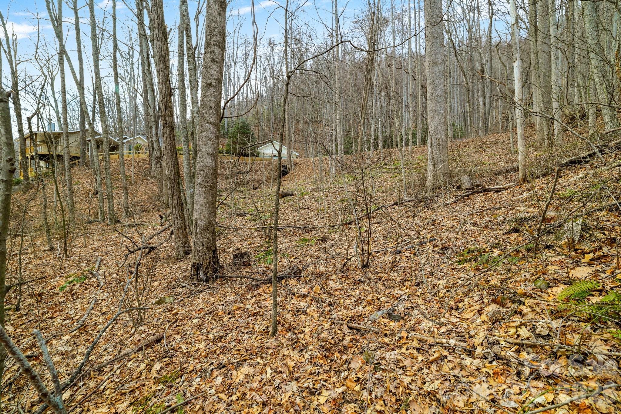 Lot at 00 Sleepy Hollow Drive, Maggie Valley, photo 11 of 16