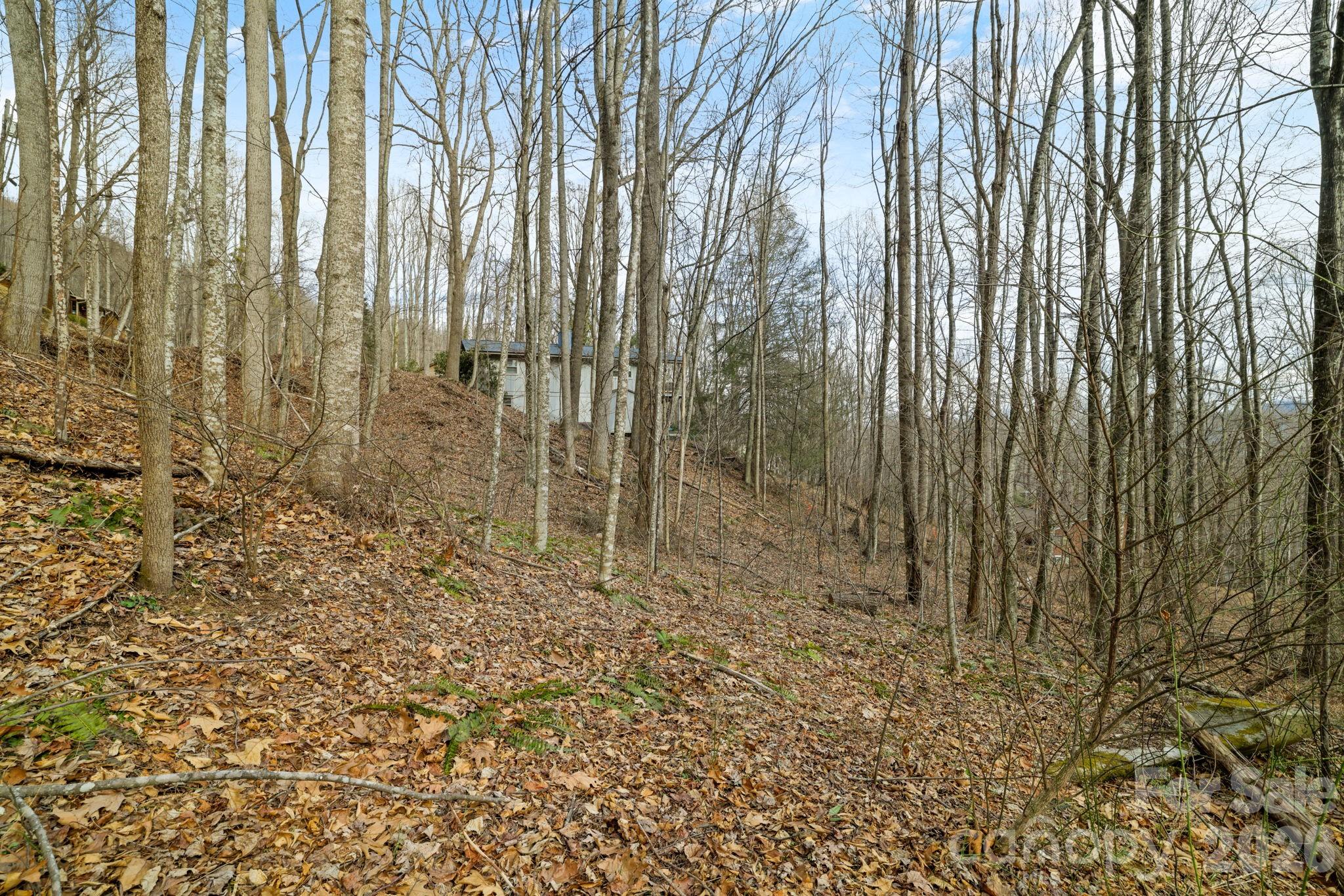 Lot at 00 Sleepy Hollow Drive, Maggie Valley, photo 12 of 16
