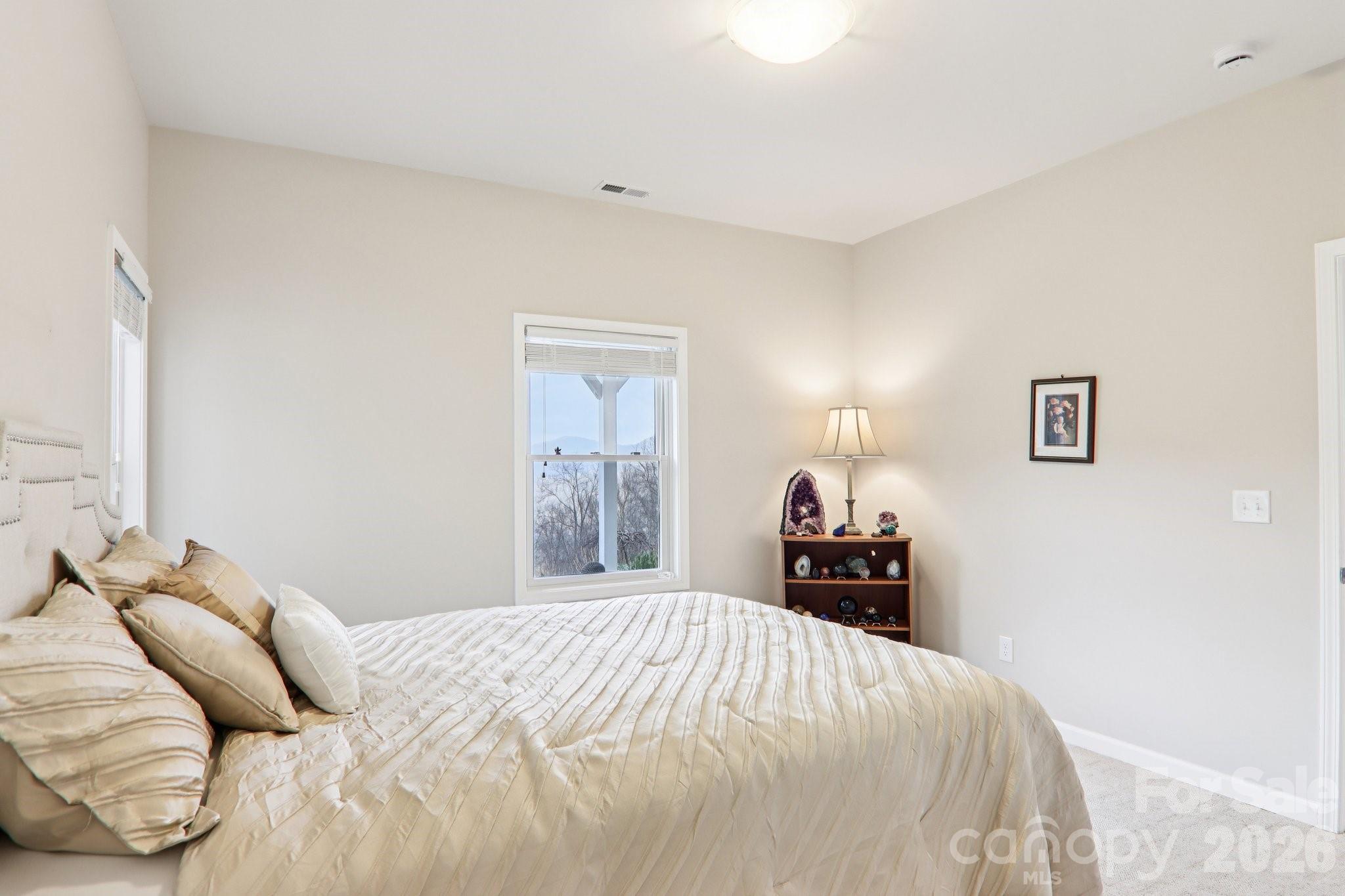 Single Family Residence at 14 Chandra Lane, Clyde, photo 32 of 47