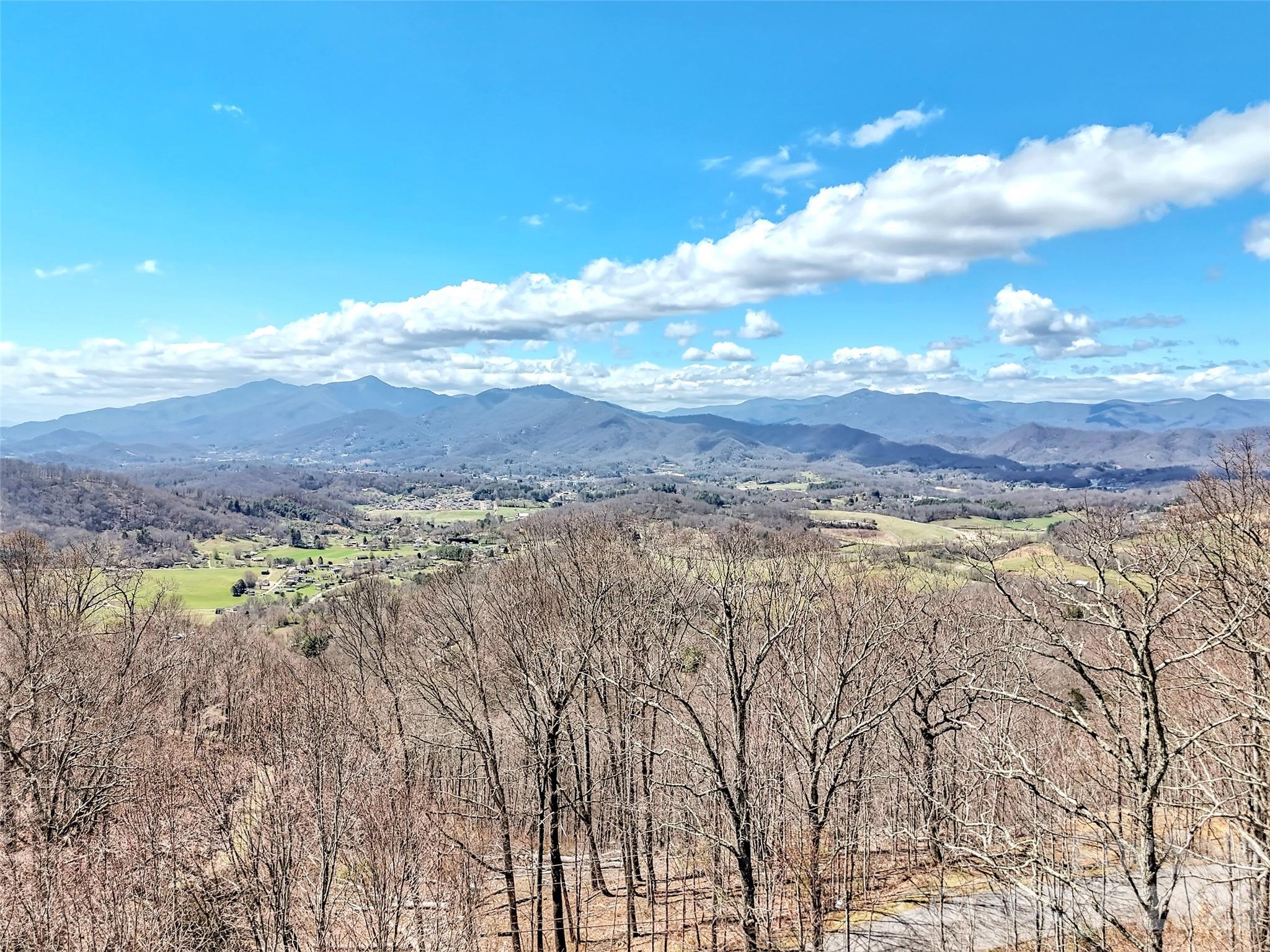 Single Family Residence at 523 Brandywine Road, Waynesville, photo 45 of 46