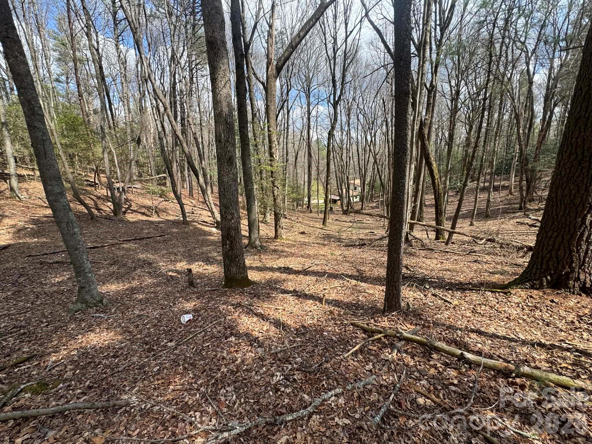 Lot at TBD Ward Circle Drive, Sparta, photo 11 of 21