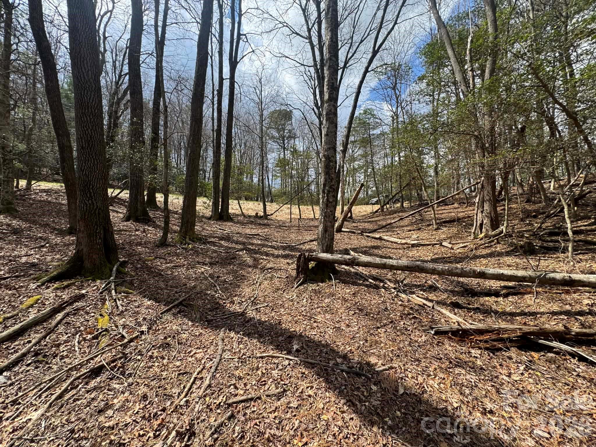 Lot at TBD Ward Circle Drive, Sparta, photo 14 of 21