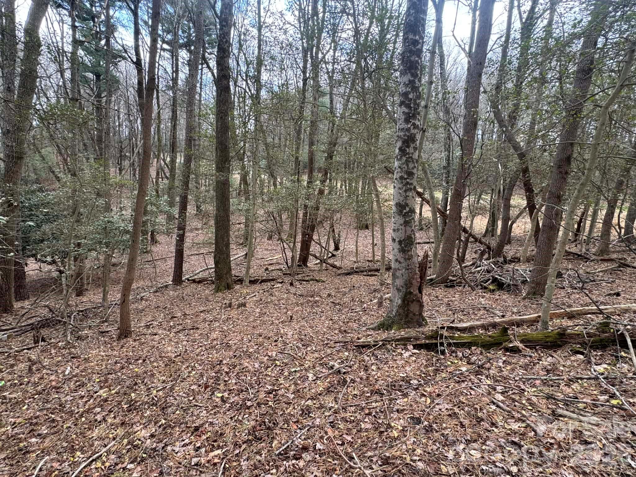 Lot at TBD Ward Circle Drive, Sparta, photo 18 of 21