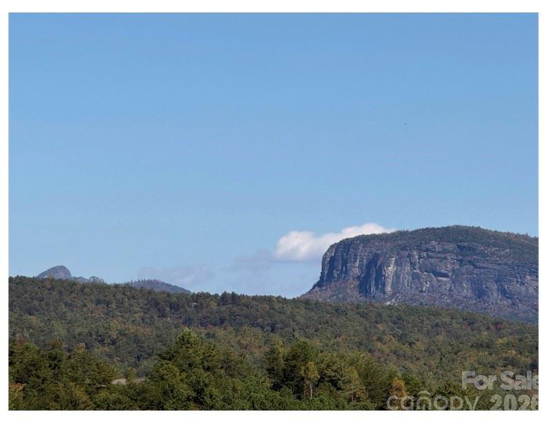 Lot at Lot #4 Pisgah Preserve Drive, Nebo, photo 2 of 5