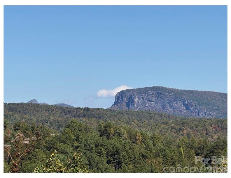 Lot at Lot #4 Pisgah Preserve Drive, Nebo, photo 3 of 5