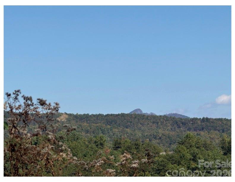 Lot at Lot #4 Pisgah Preserve Drive, Nebo, photo 4 of 5